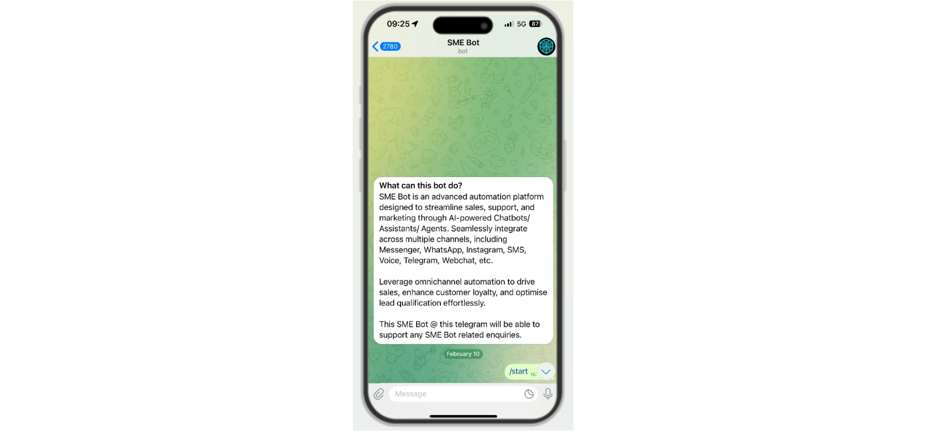 ✅ Done! You’ve successfully integrated Telegram with SME Bot. 🚀
