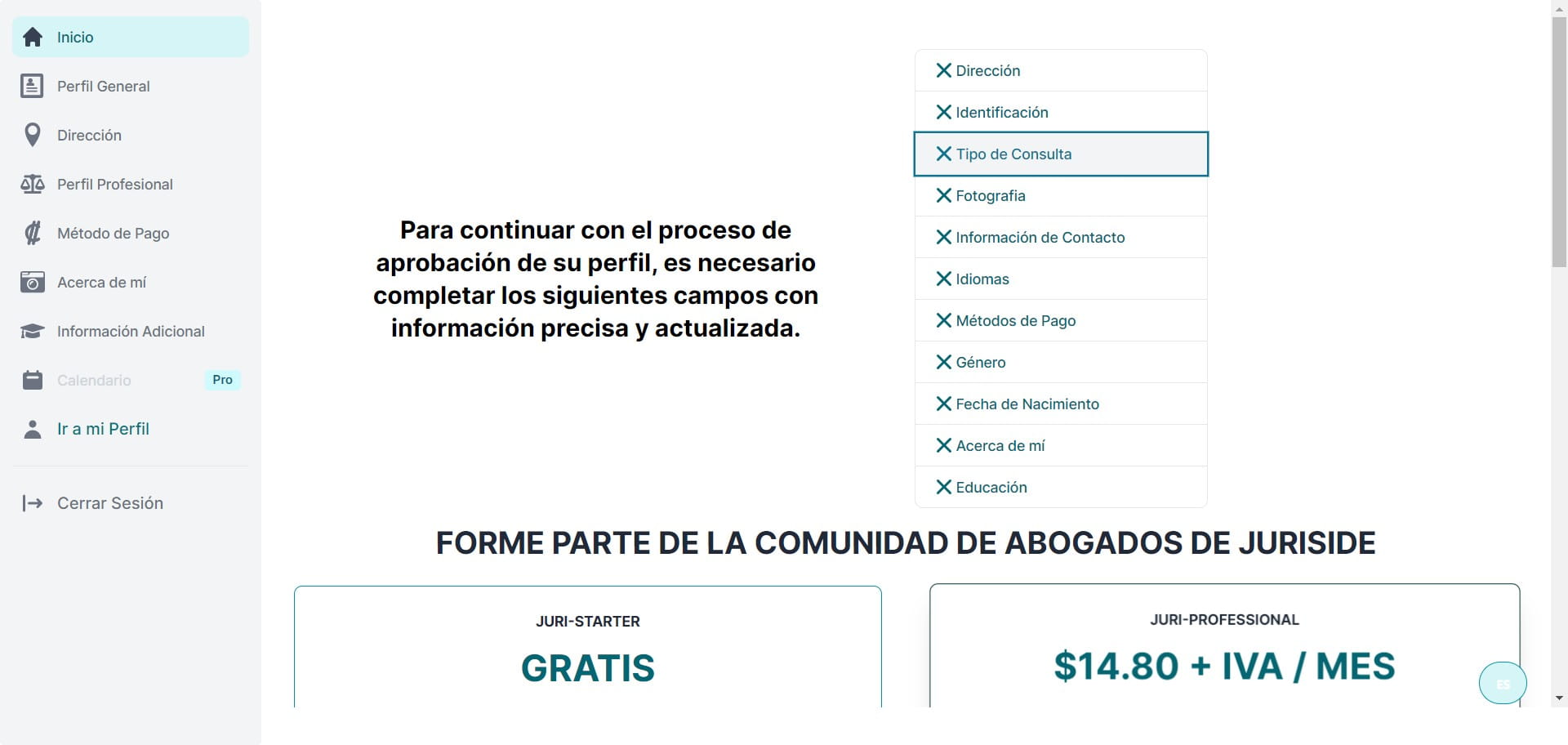 Tipo de Consulta que usted brinda.