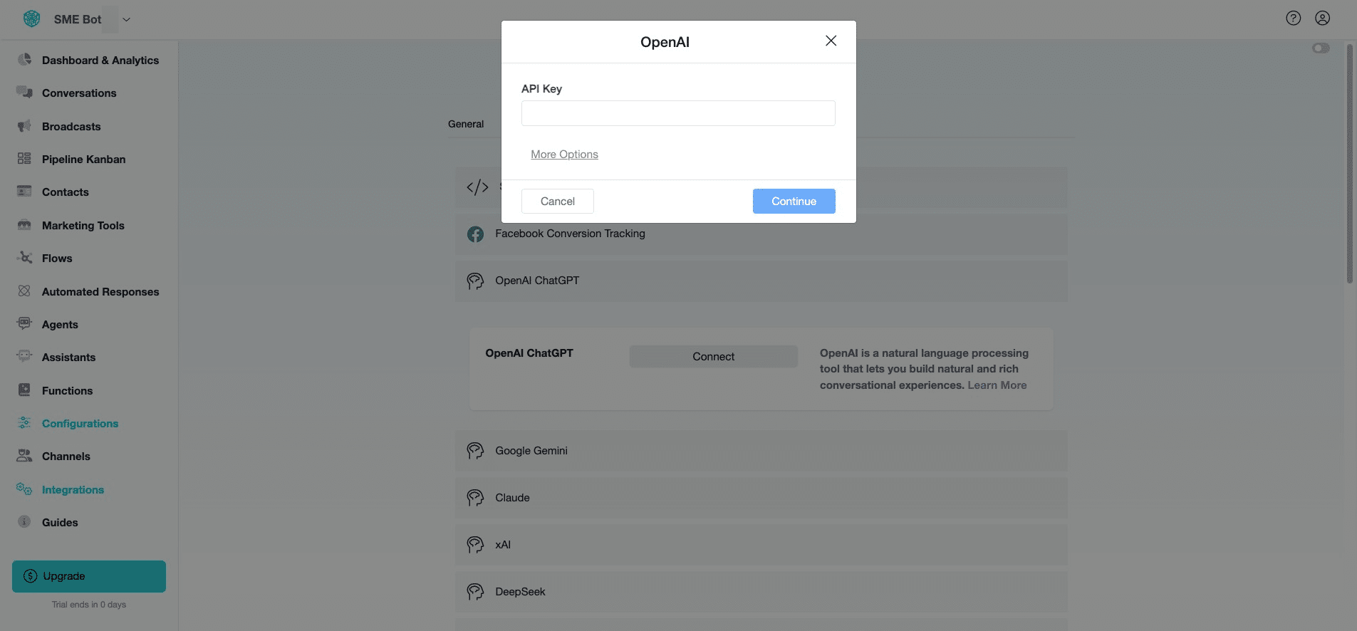 Insert your OpenAI API Key. Click "More Options" to set the "Temperature" and "Maximum Output Tokens".