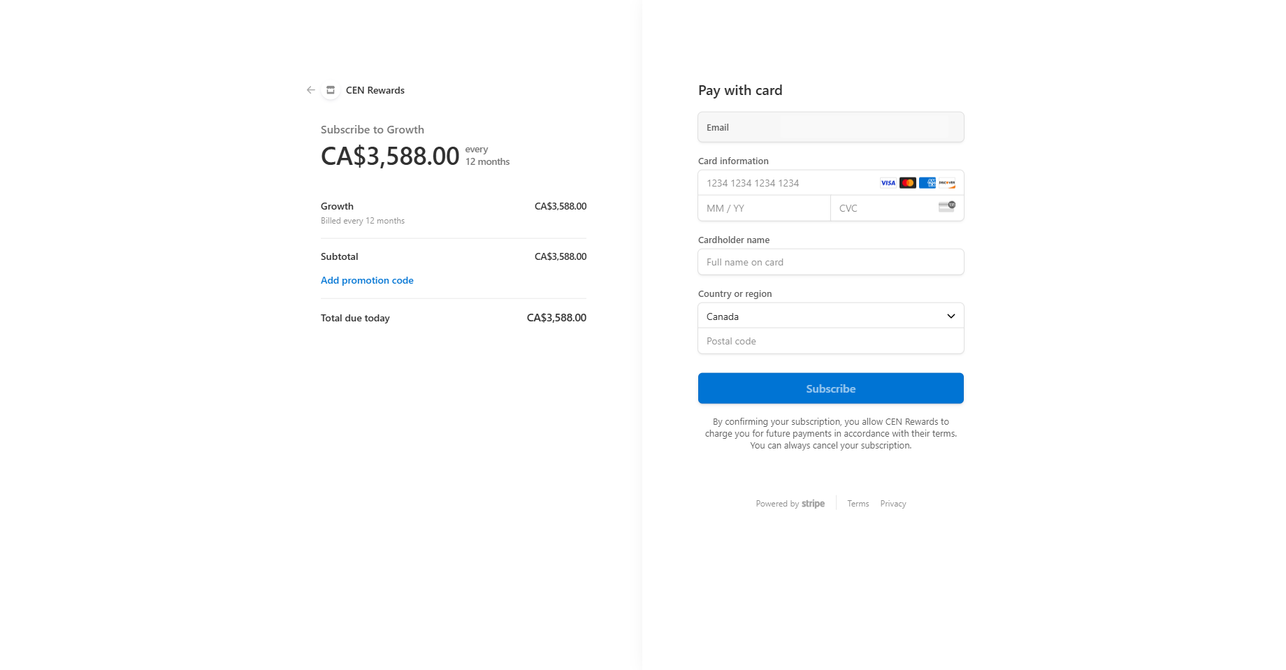 Fill in and submit your payment information🚀