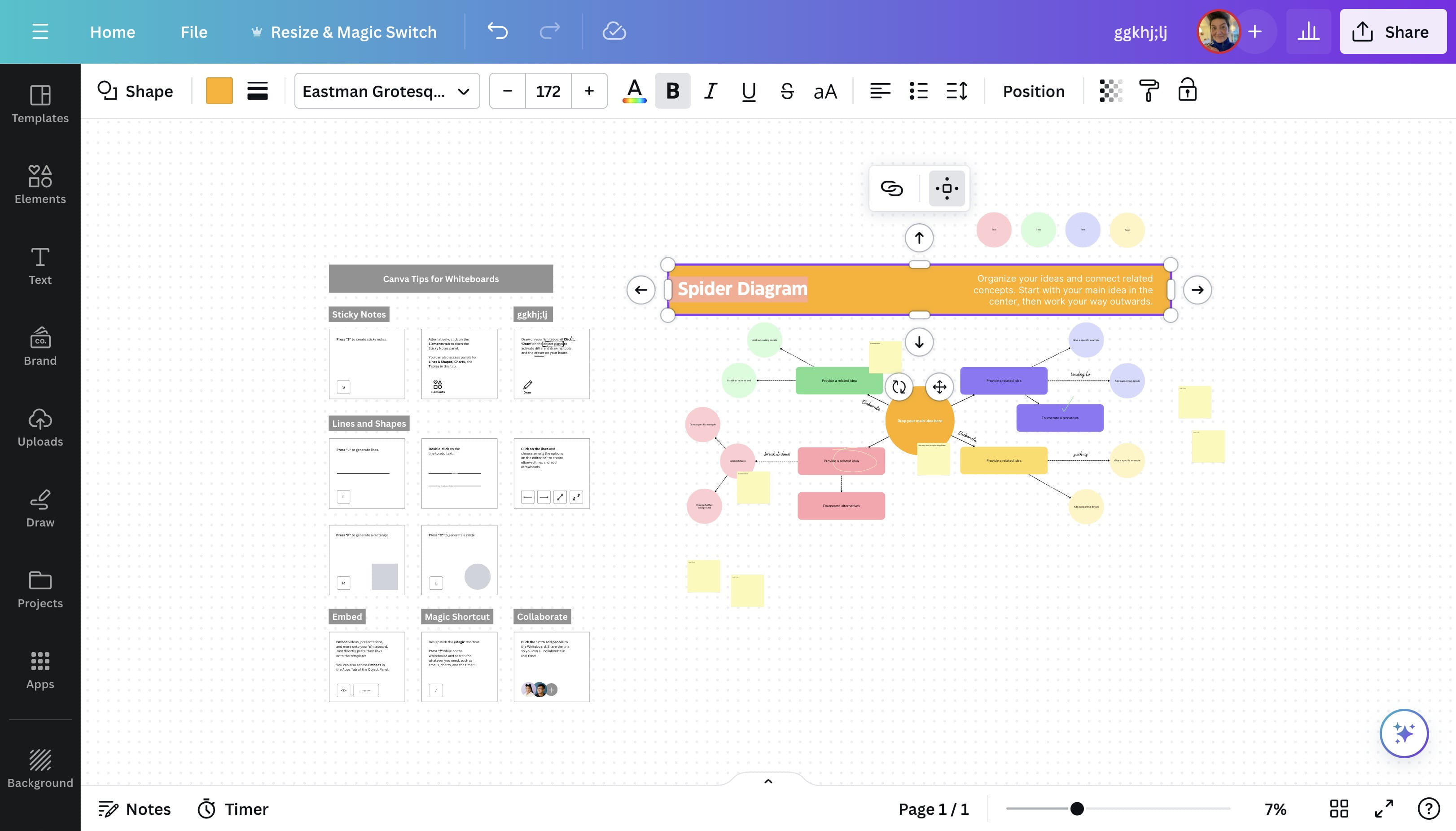 Double Click on "Spider Diagram"