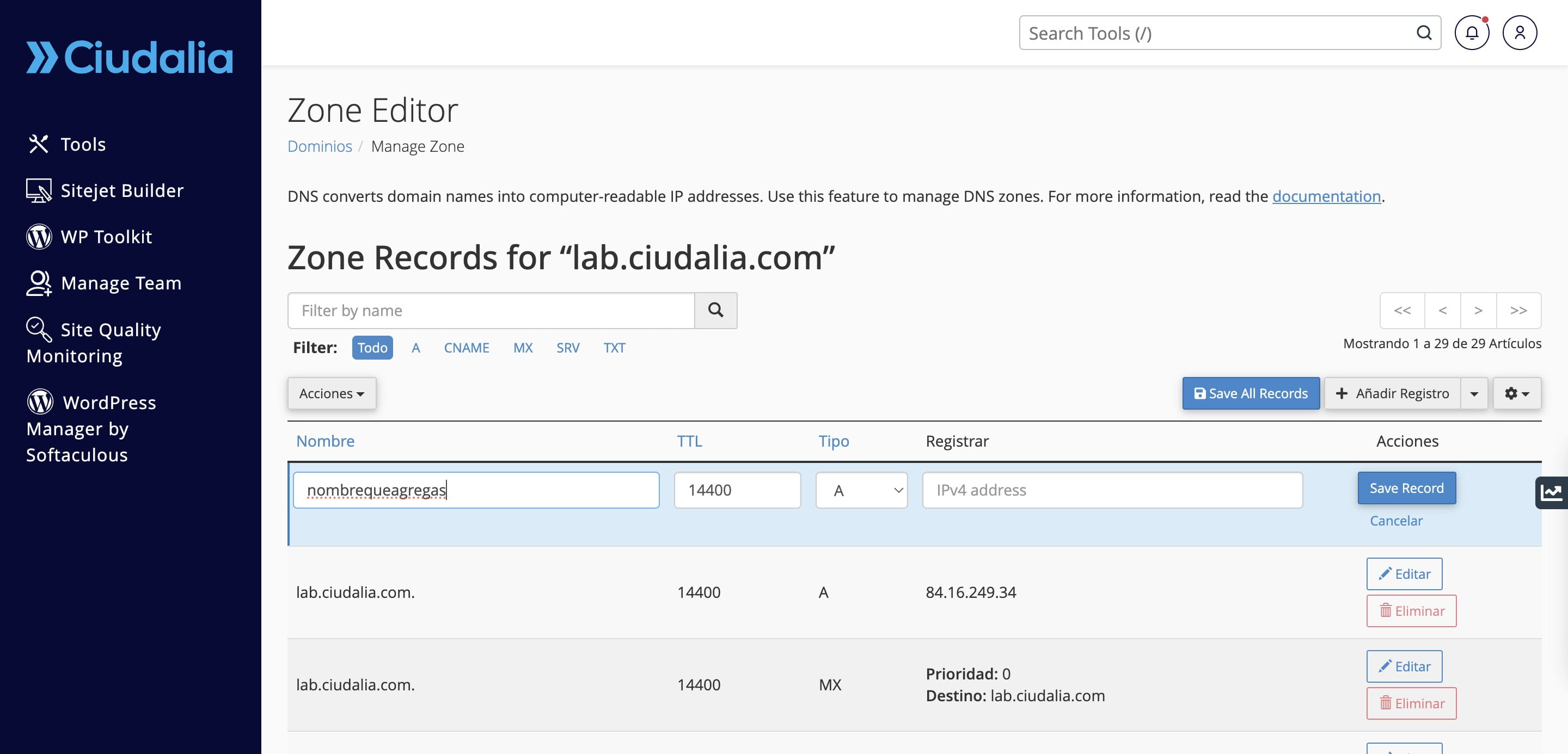 Introduce el tipo de registro a crear "MX, A, TXT..." y dónde apunta