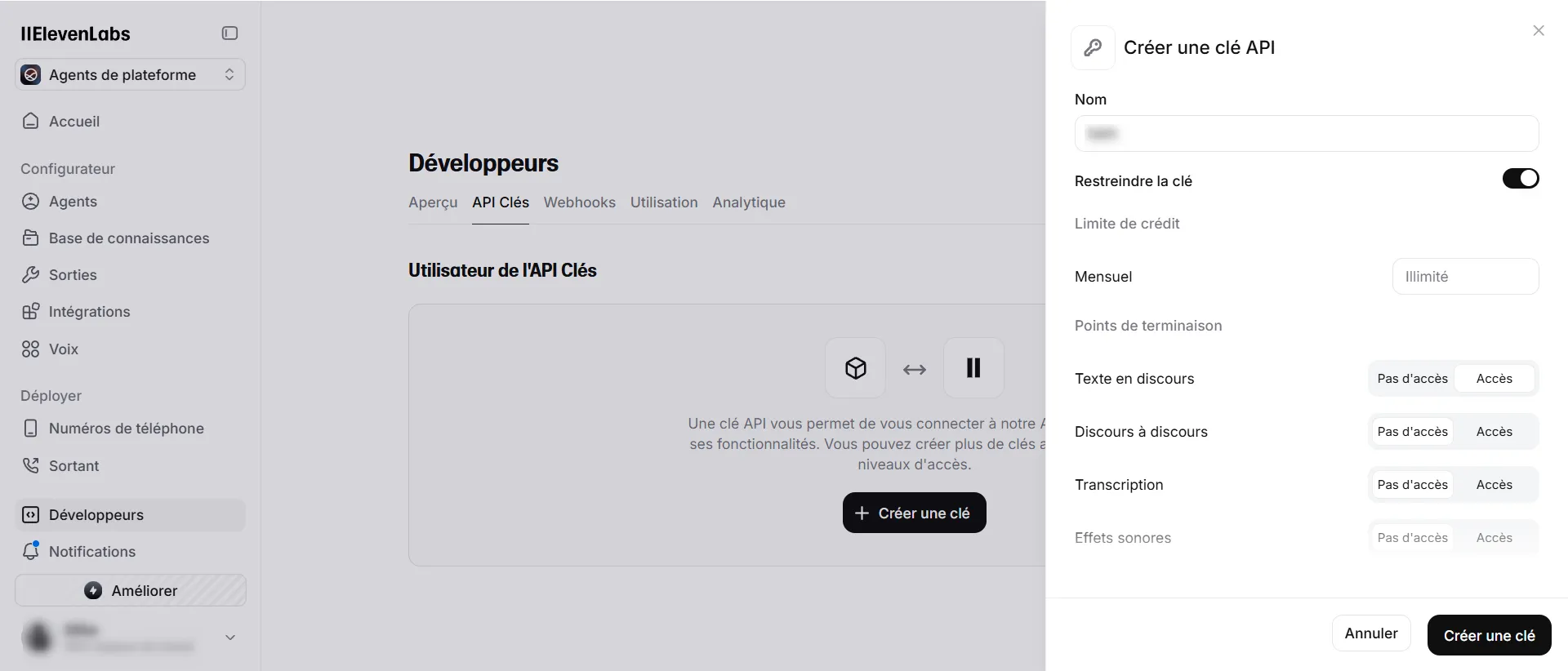Génerez votre clé en cliquant sur le bouton à la fin du parametrage des options d'accès.