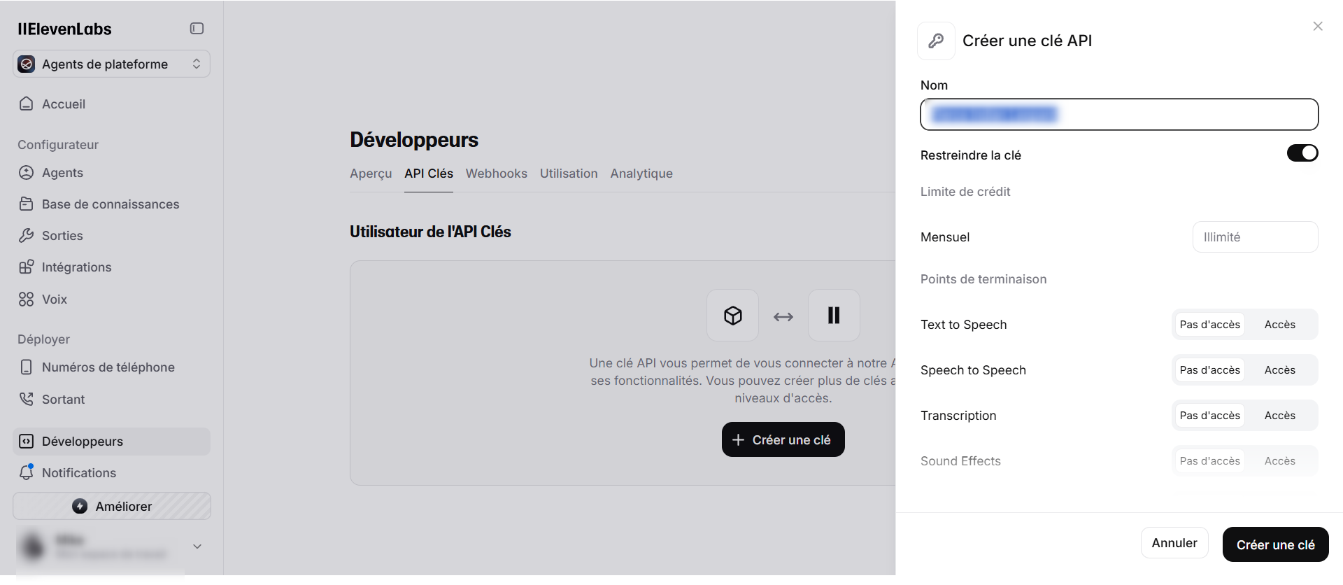 Créez une Clé API si aucune clé n'est disponible.