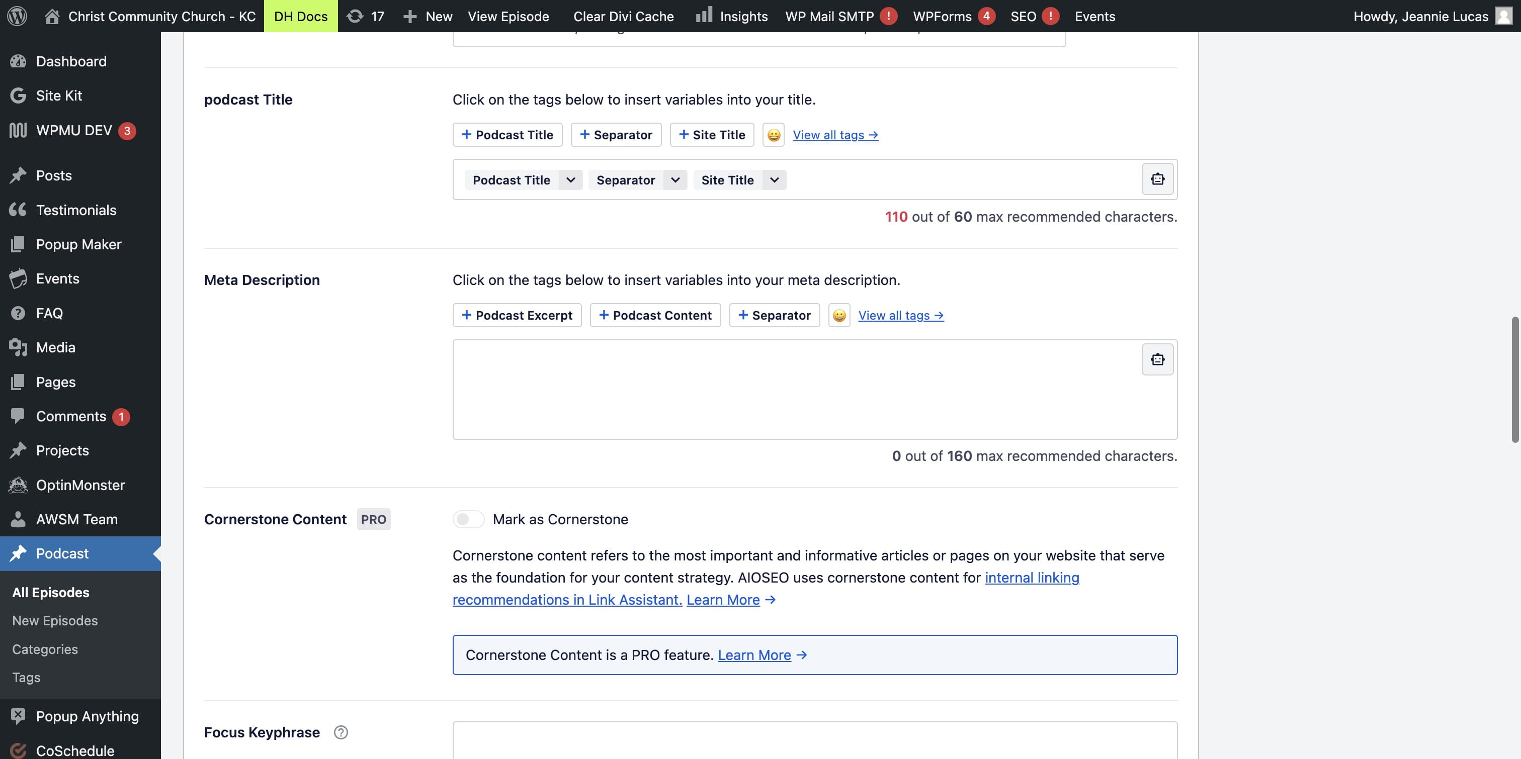 PASTE the text into the Meta Description.