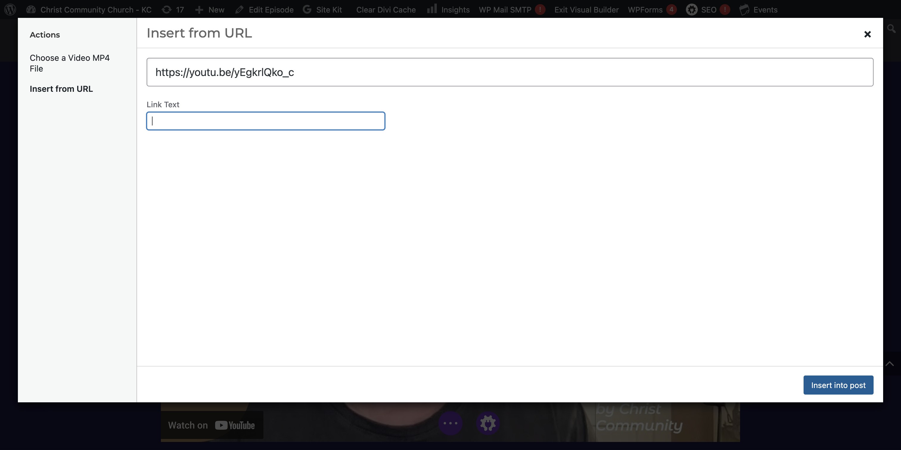 PASTE into the INSERT FROM URL
Click on "Insert into post"