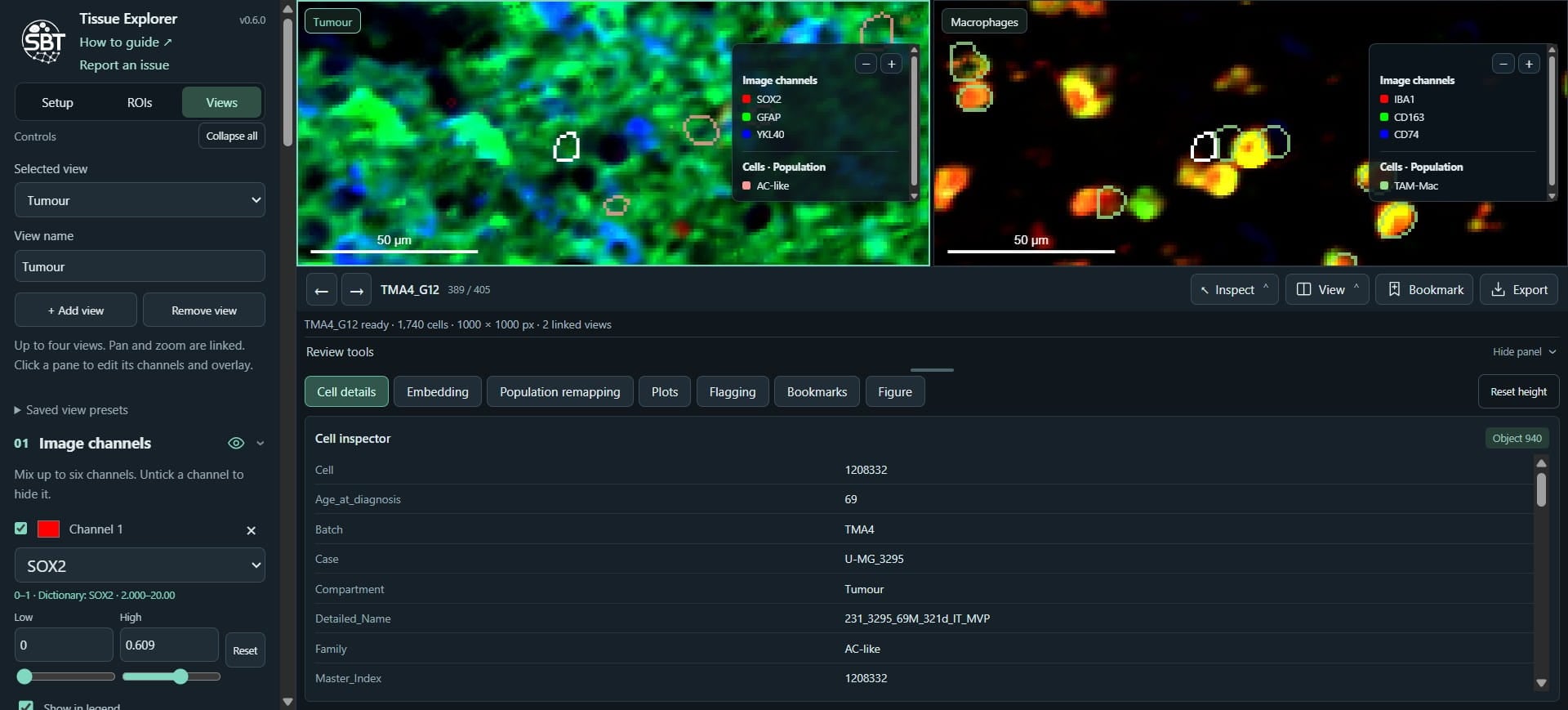 Click on "Cell details" - this gives metadata for individually selected cells.
