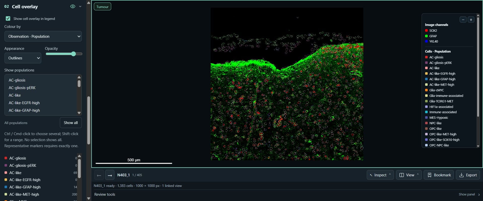 Click on "Cell outlines", where we can select population outlines to show 