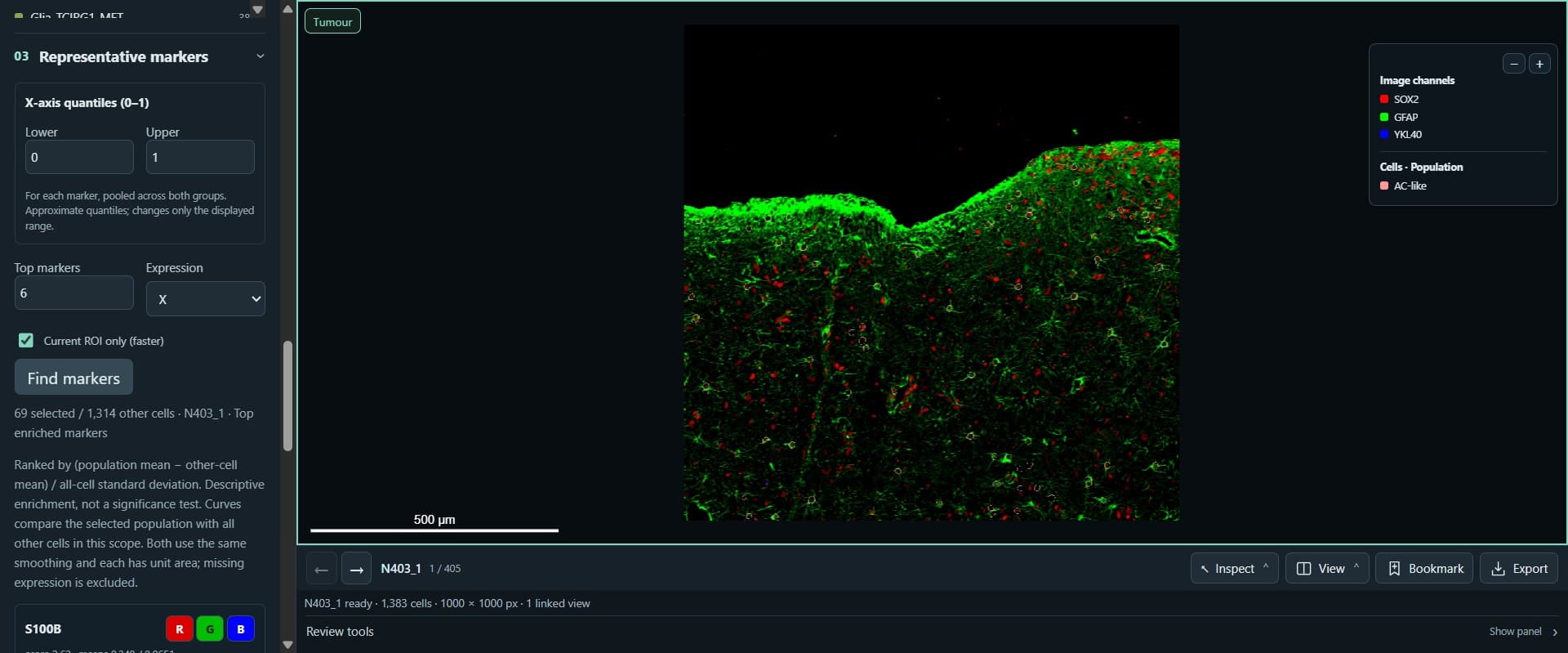 Scroll down and click on "Find markers" to suggest markers specific for this population