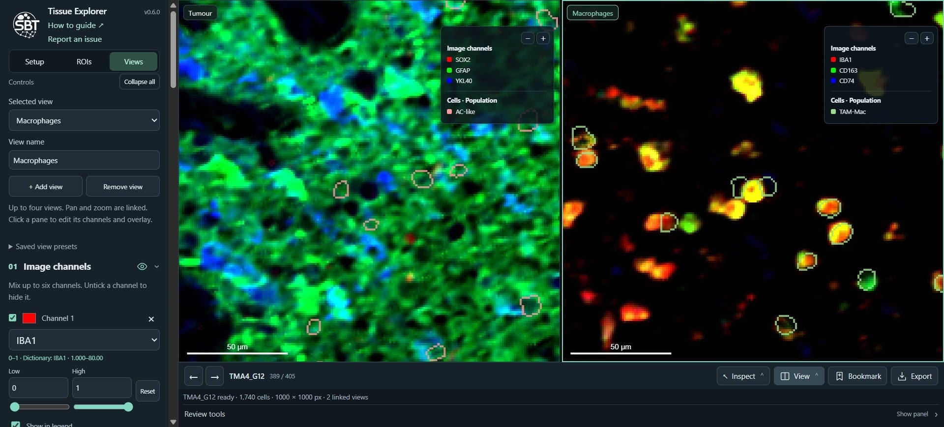 We can quickly toggle elements in each viewer pane