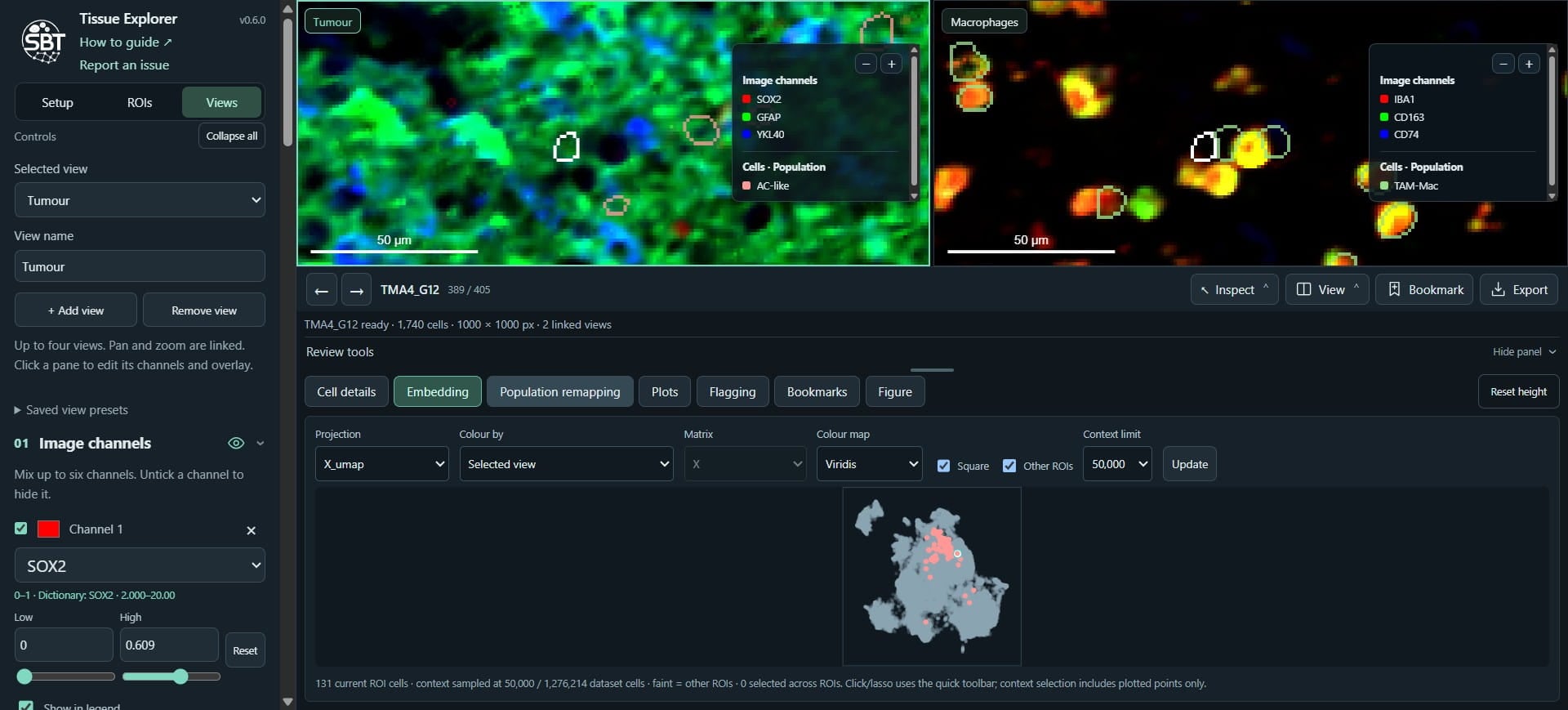 Click on "Population remapping" - we can create remapping, which allow us to rename populations.