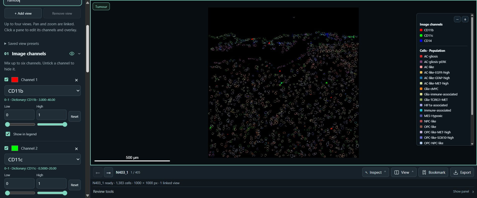 Click this image