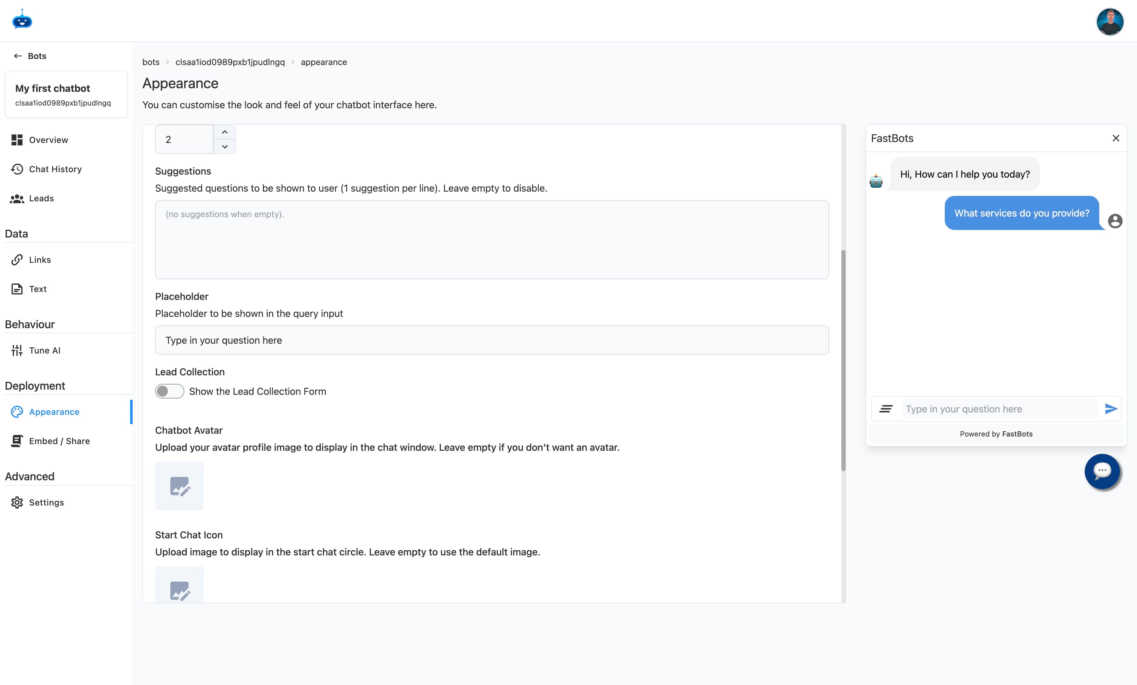 Choose if you want to display a lead form to your chat users.