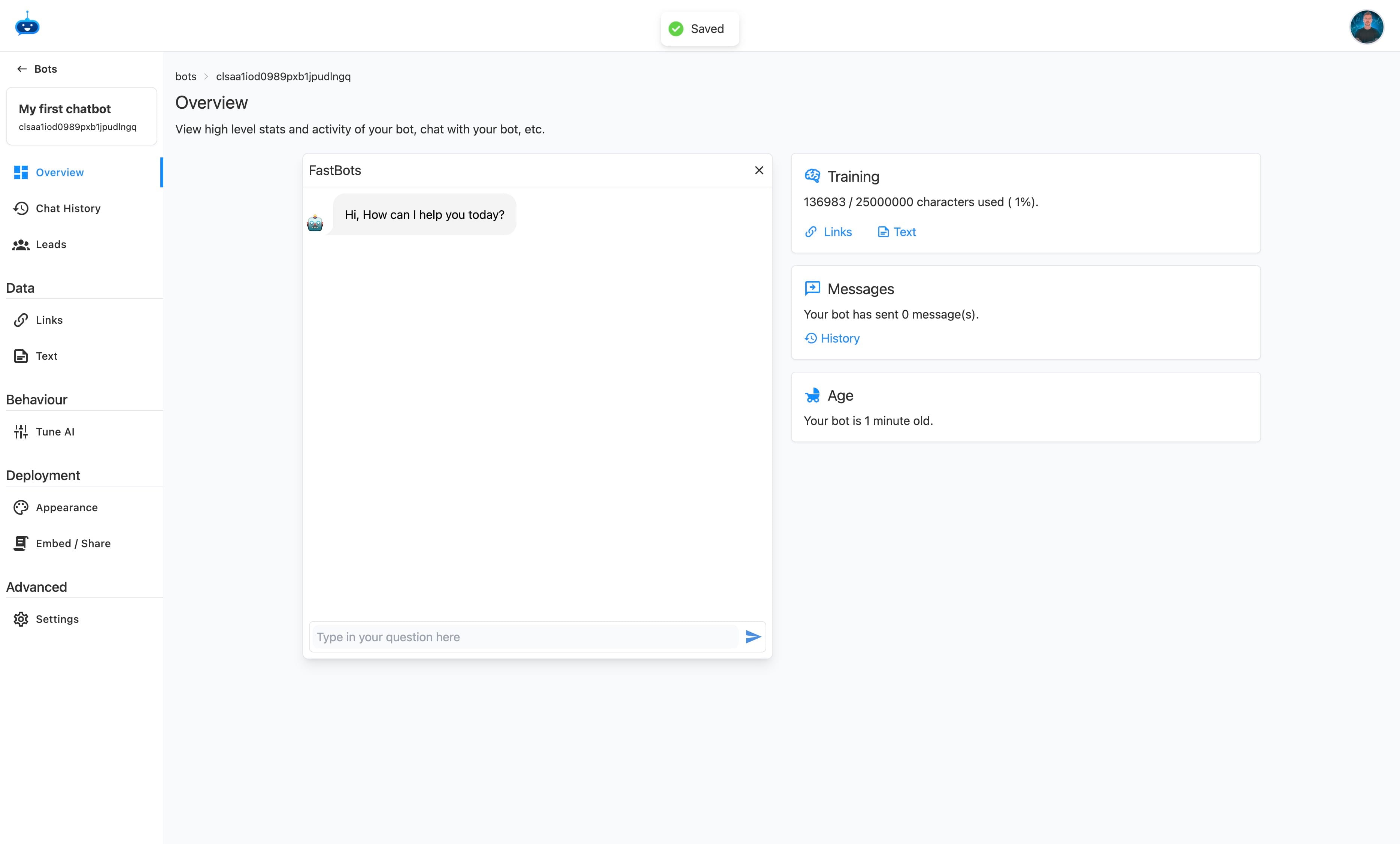 Test your new chatbot.