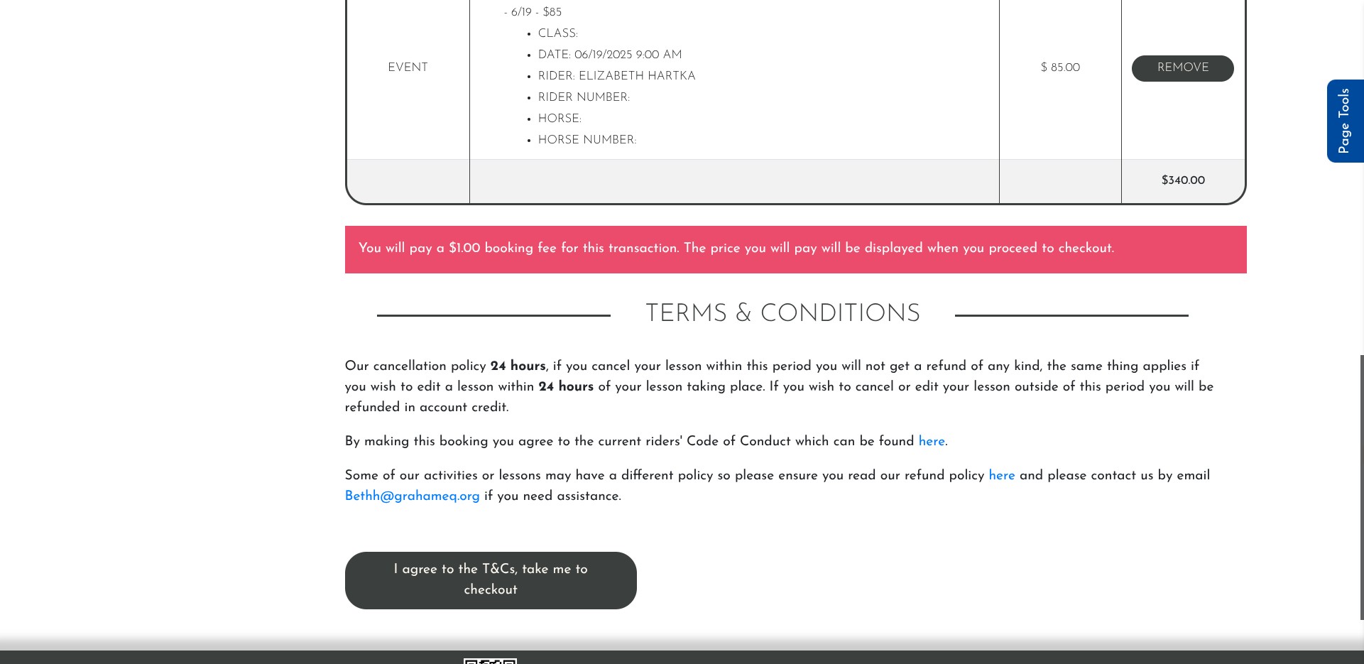 Click on "I agree to the T&Cs, take me to checkout"