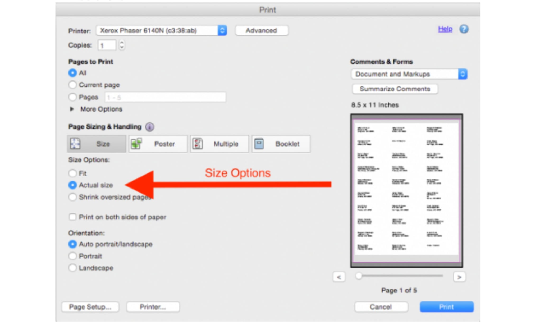 Print the PDF ensuring the “Size Options” are set to print “Actual Size”. Below is a screenshot of typical PDF printing settings. Your screen may be a little different but the setting will be there.