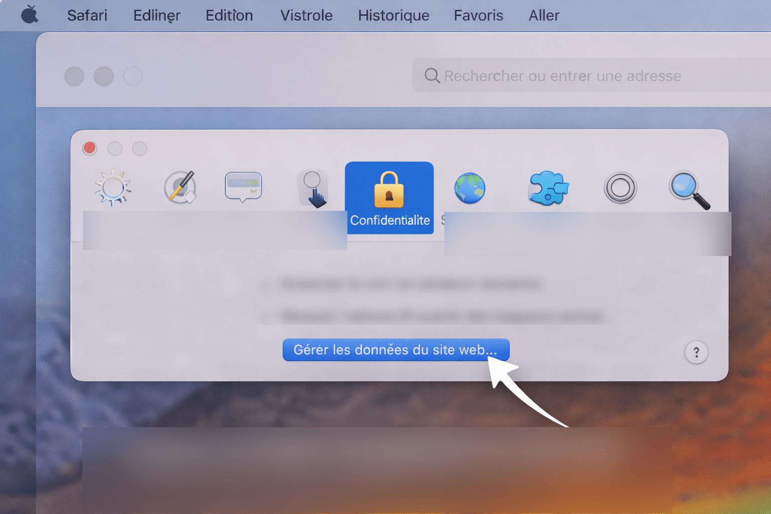 ## Gérer les cookies
&nbsp;
Cliquez sur **Gérer les données du site web** dans réglages.
&nbsp;
