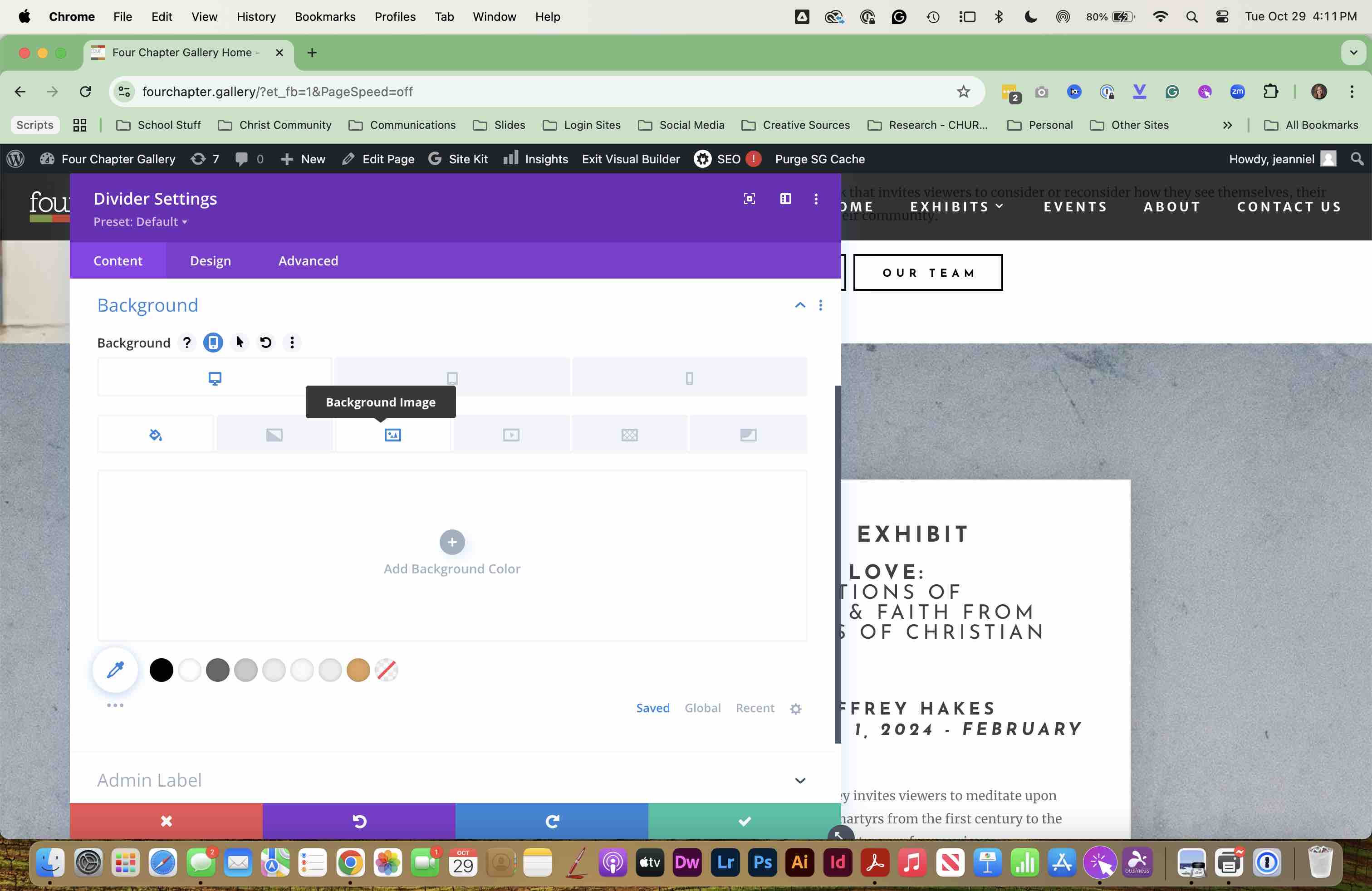 SELECT the BACKGROUND IMAGE tab.