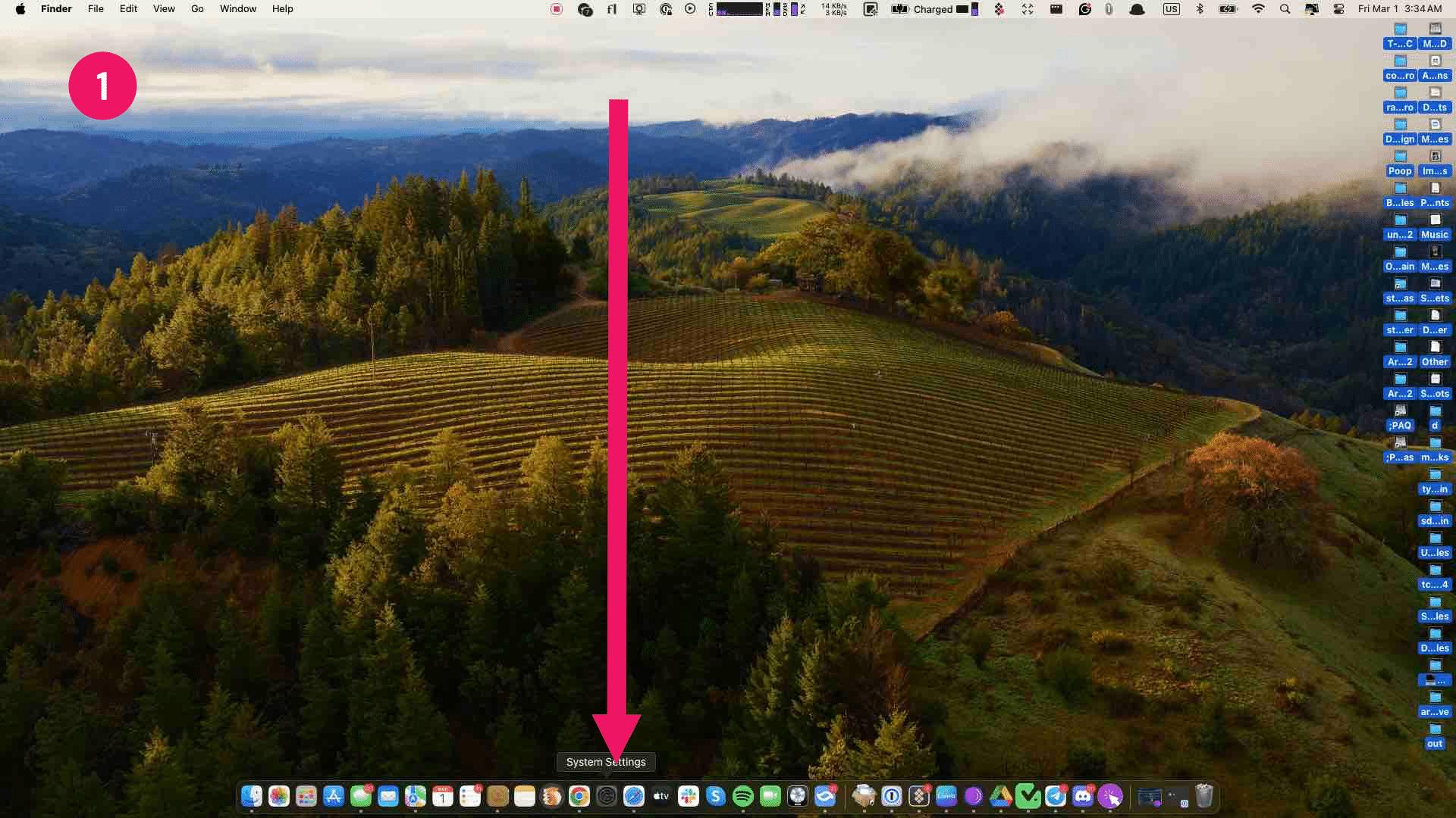 Start by locating the **Settings app** found in the dock below and clicking on it