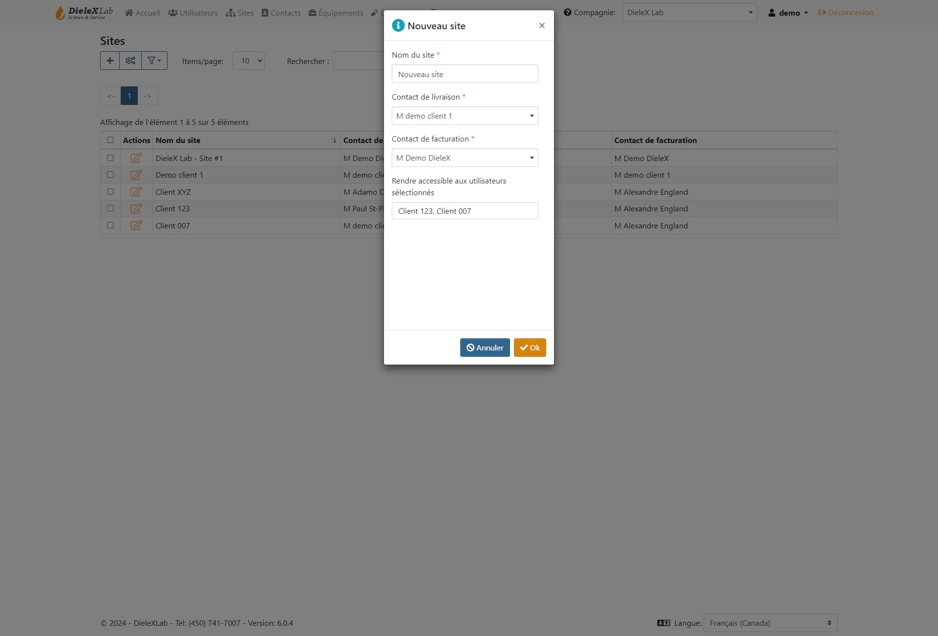 Soumettez ensuite le formulaire et le site sera créé.