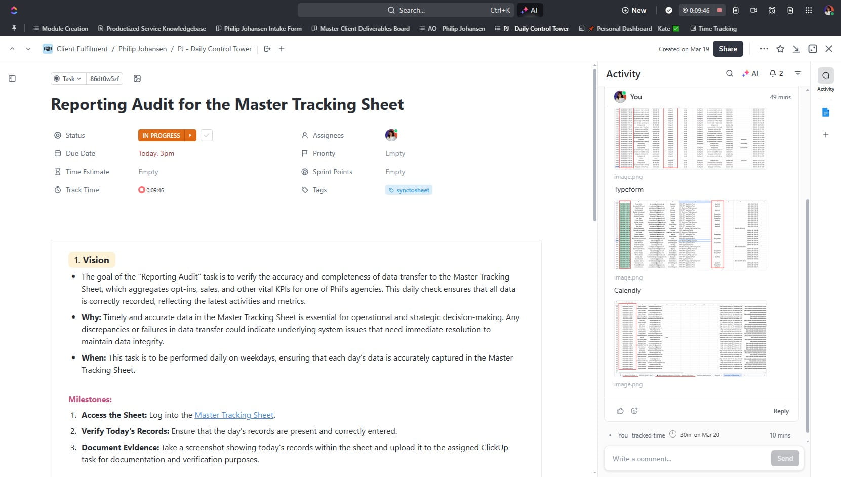 Reporting Audit for the Master Tracking Sheet (Task)