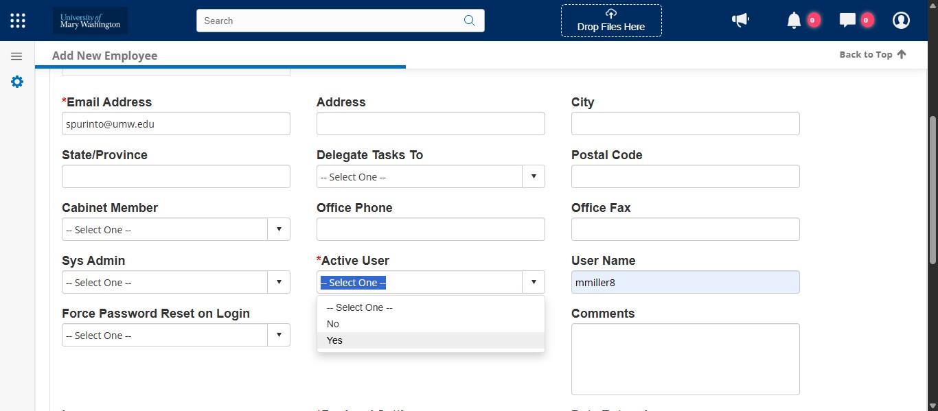 Enter their email address, select the drop down under Active User and select Yes.