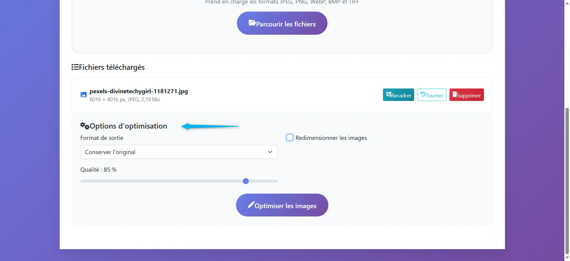 Options d'optimisation

 Cette section permet de définir les paramètres pour l'optimisation de l'image téléchargée.

 L'utilisateur peut choisir le format de sortie et ajuster la qualité de l'image.