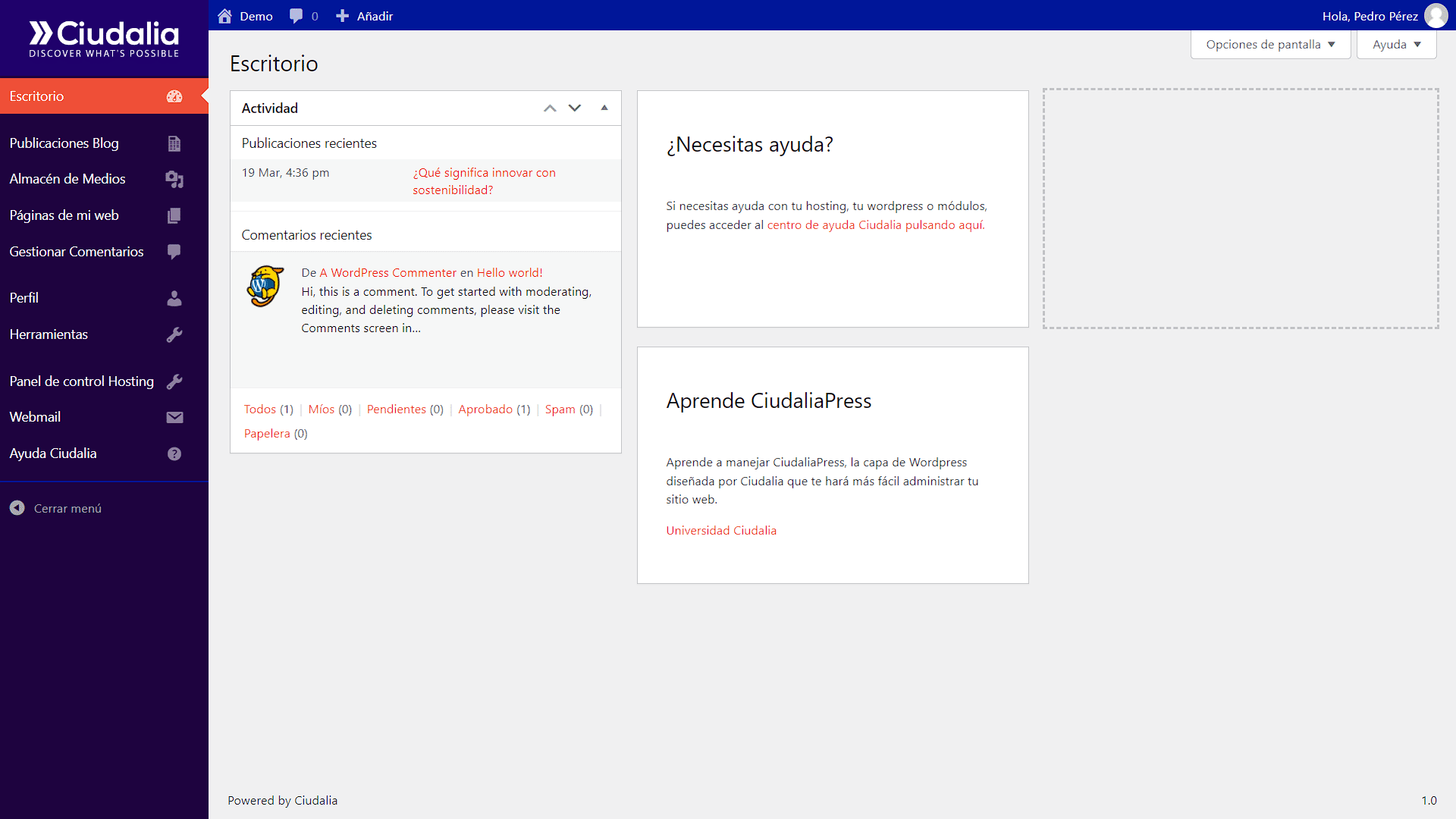 En el inicio, seleccione la opción de "**Páginas de mi web**"