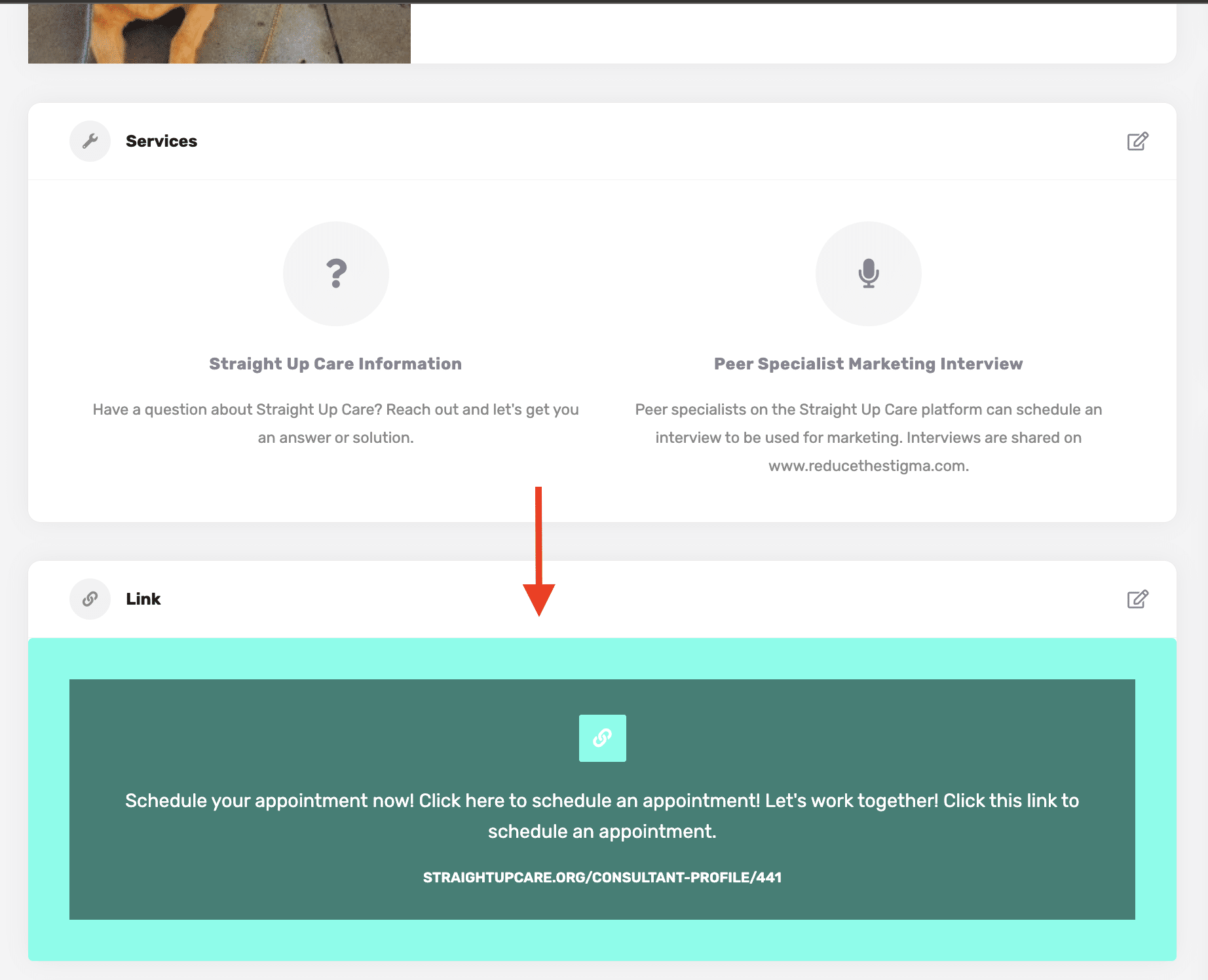 ...and on your profile's overview.