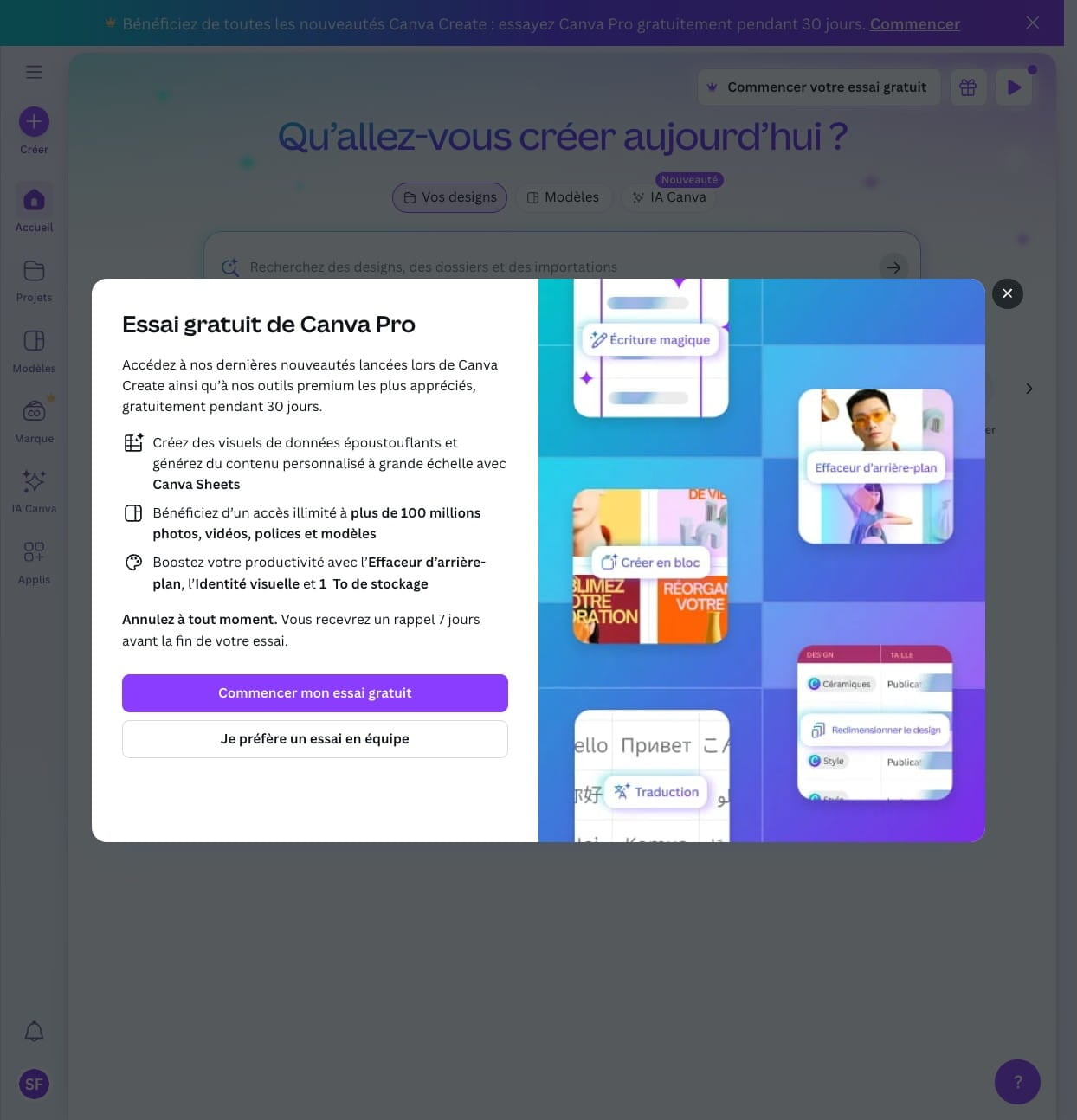 Annulez complètement l'essai Pro gratuit en cliquant sur la croix.
