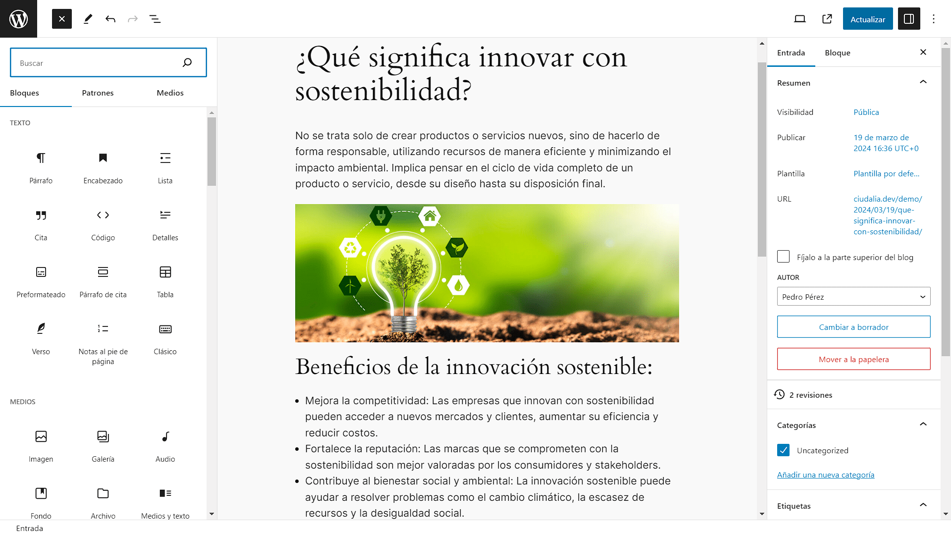 Luego de haber terminado el diseño del artículo, haz click en "**Actualizar**"