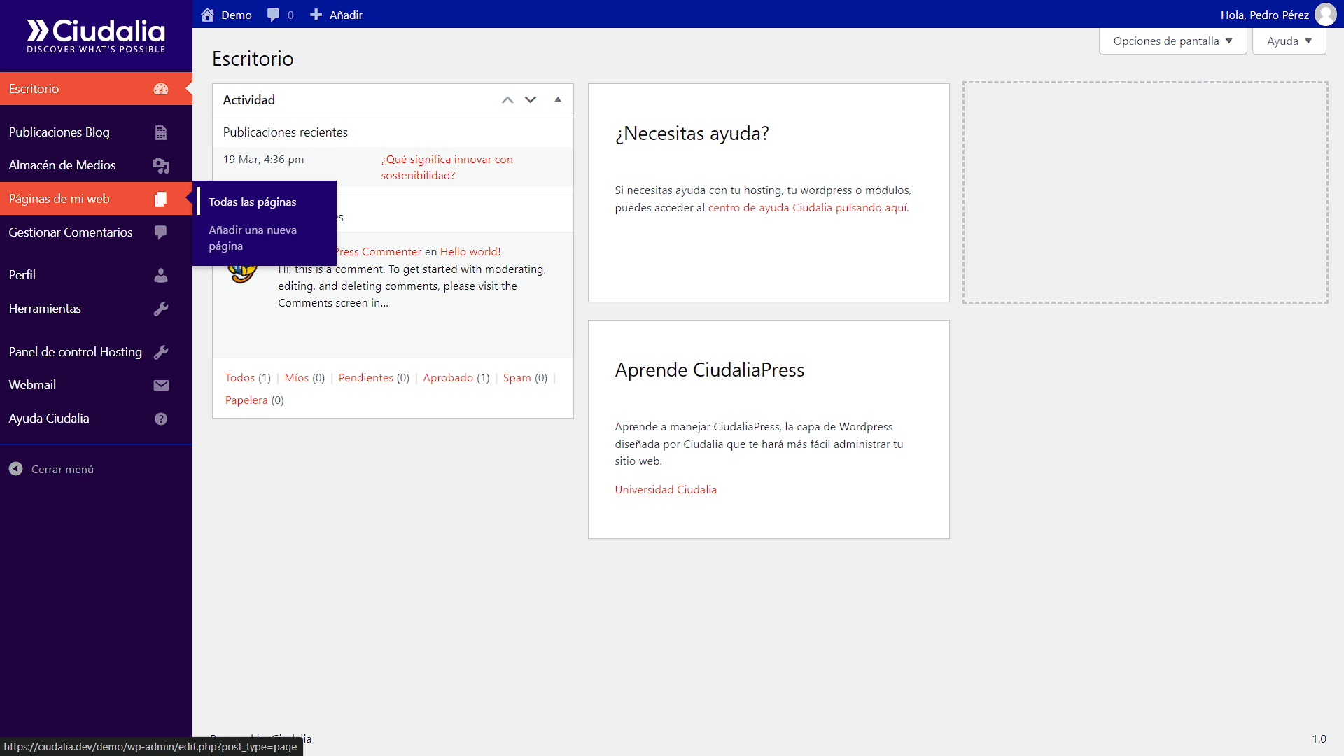 Luego, haz click en "**Páginas de mi web**"
