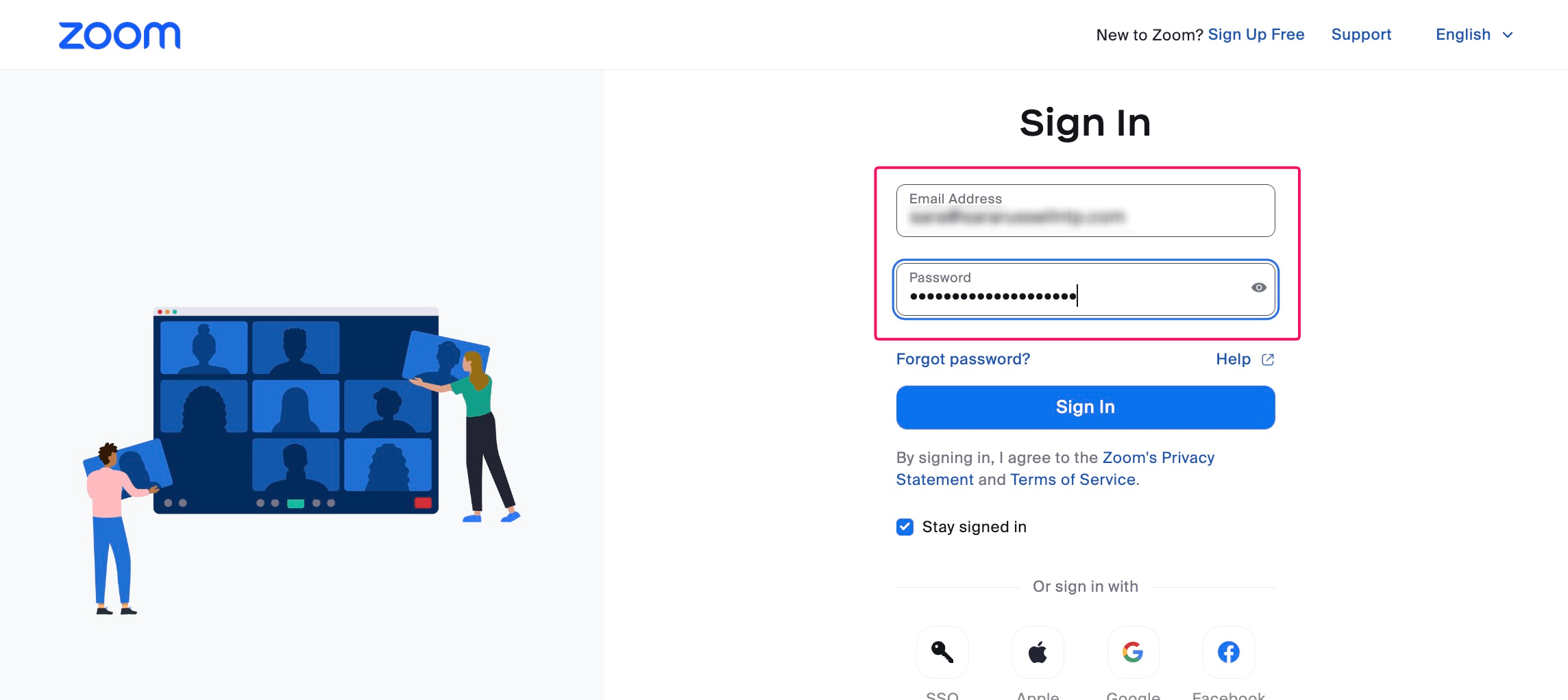 Enter your Zoom account credentials