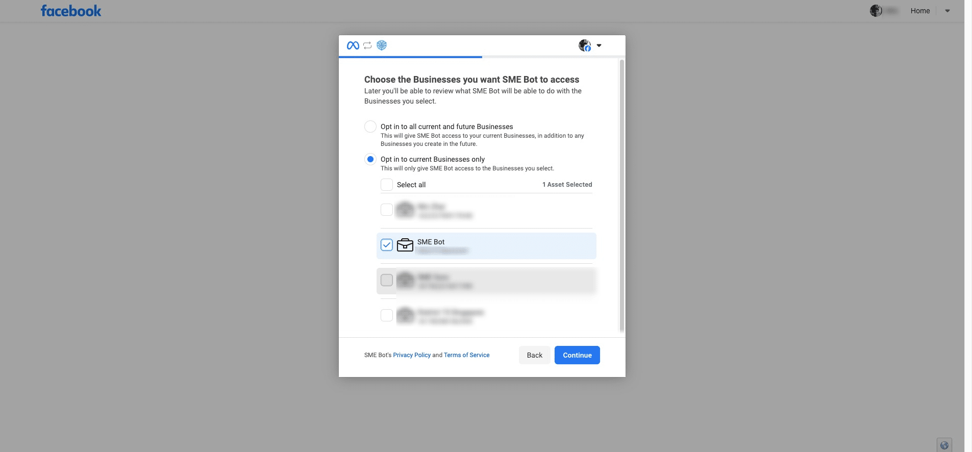 You will be prompted to choose the Business Portfolio you want SME Bot to access. You can either opt-in for all current and future Business Profiles or select only the current Business Profiles. Select the Business Portfolio, then click "Continue".