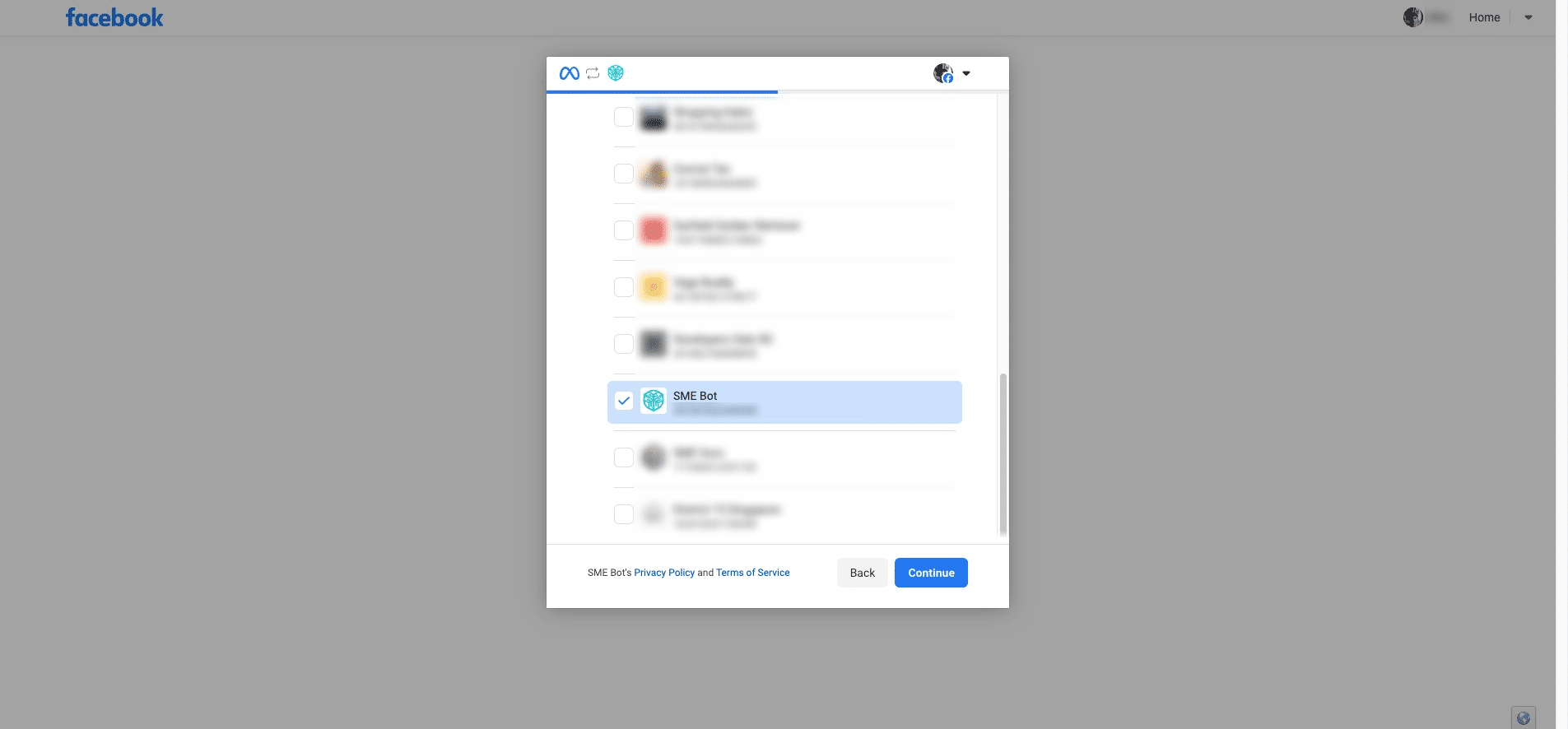 Select the intended Facebook Page and click "Contiune".