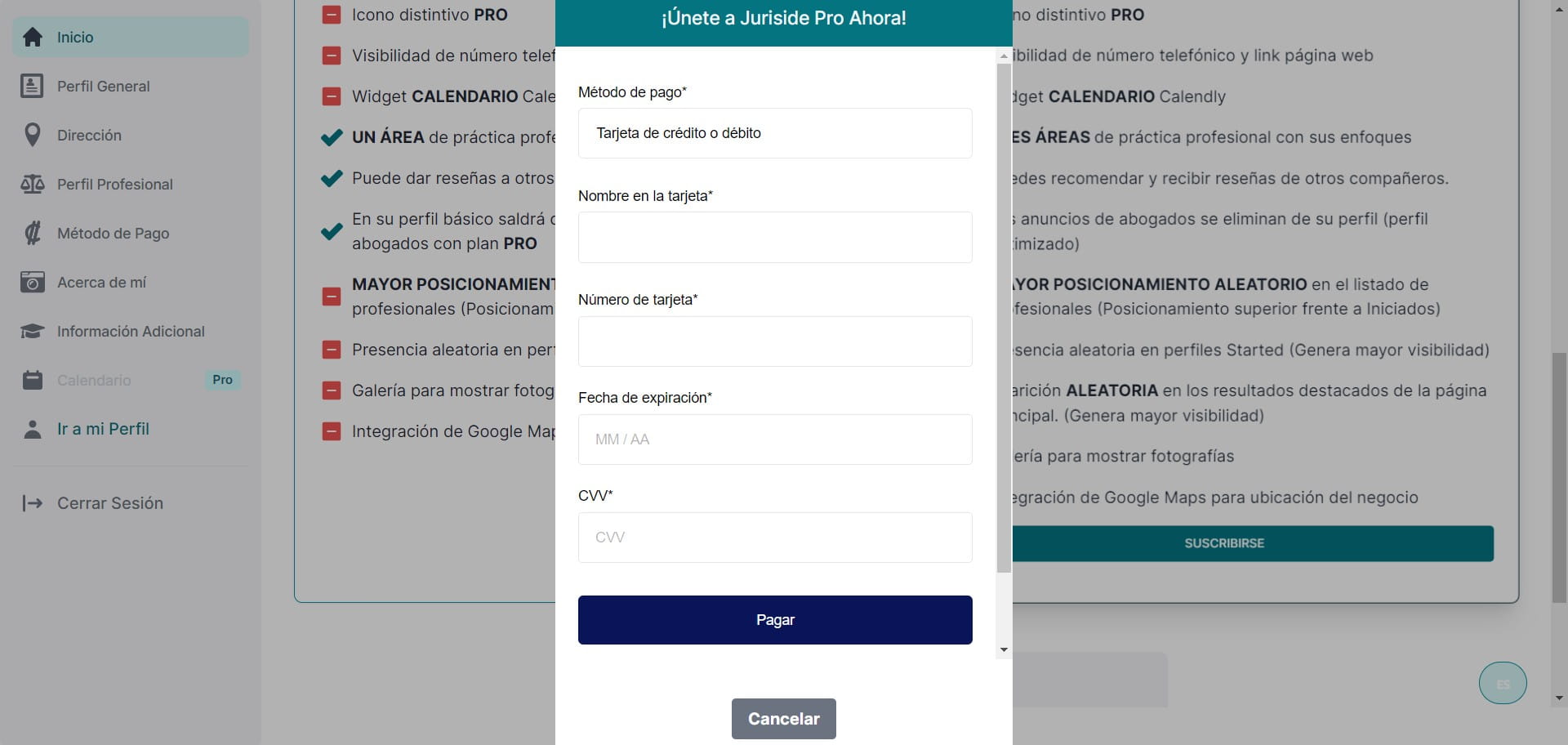El sistema le despliega una ventana con nuestra plataforma de pago, en la cual podrá incluir toda la información solicitada para poder proceder con el pago.