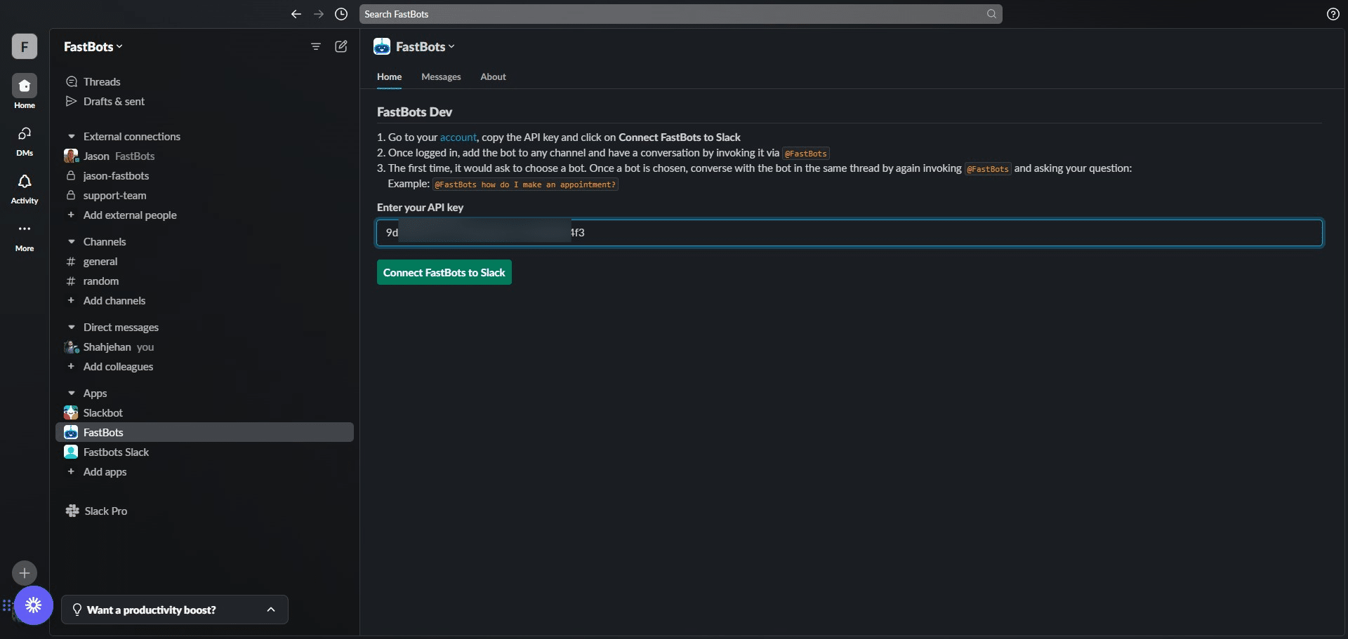 Go back to your Slack Workspace and paste the API Key here.