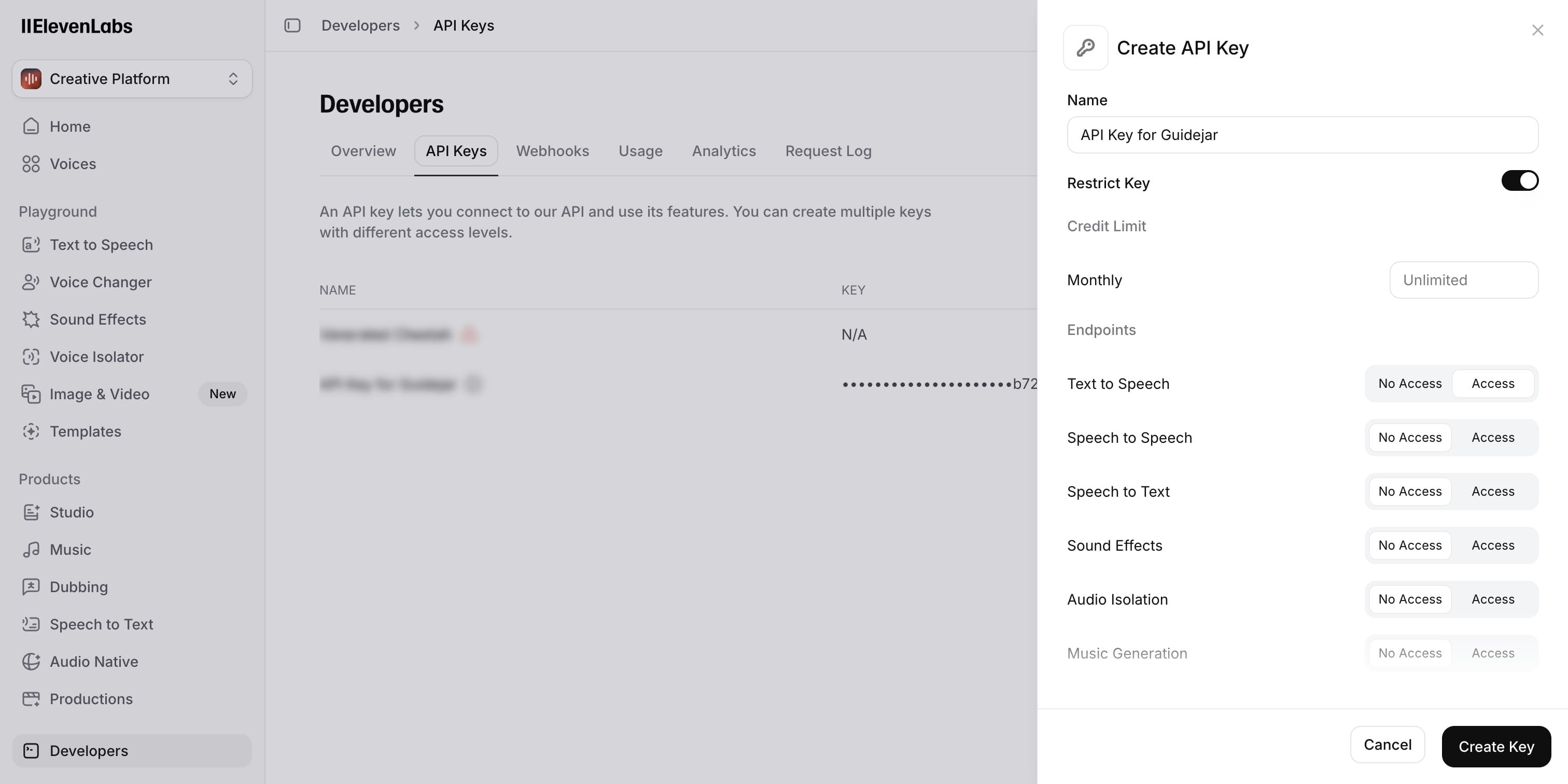 Enable Access for "**Text to Speech**"