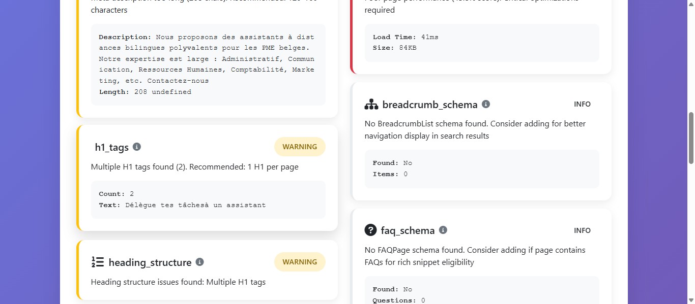 Cette section comte le nombre de H1 dans 1 page. 
Si une page possède plus de 1 H1 cela est très nefaste pour le SEO d'une page