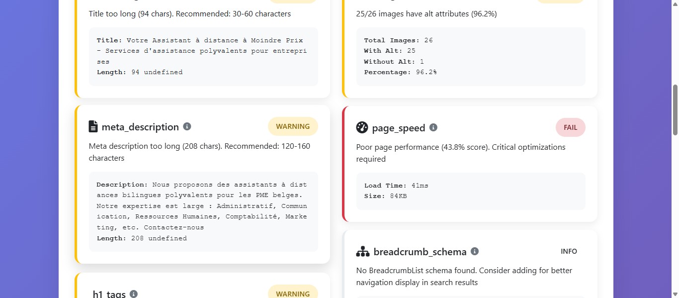 Ici c'est la parti qui analyse la metadescription 
Il faut optimiser le nombre de caractère en fonction du nombre recommandé par l'analyse
