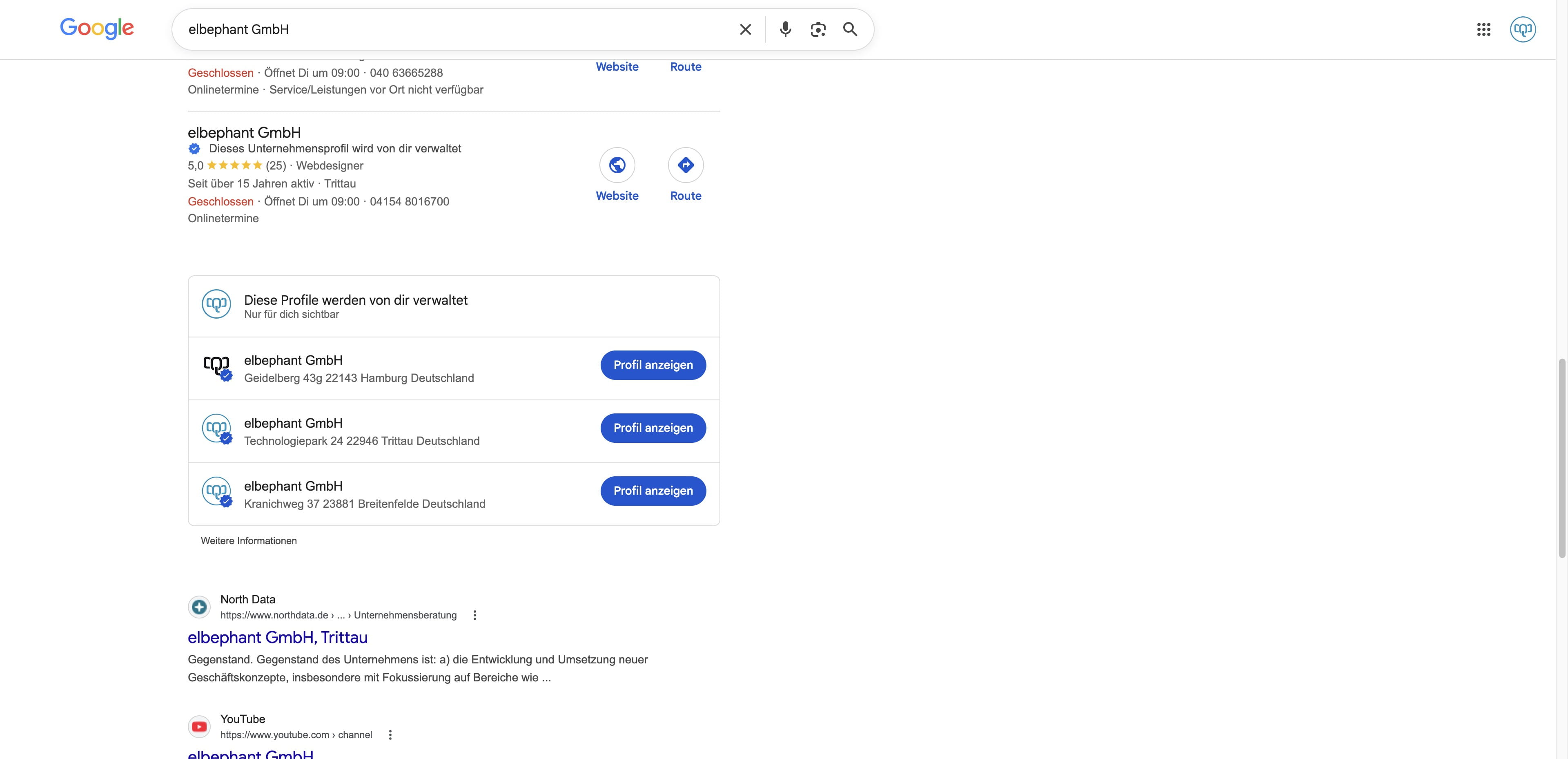 Unter Deinem Eintrag bei Google findest Du nun Dein Profil, das von Dir verwaltet wird. Klicke auf den Button "Profil anzeigen"