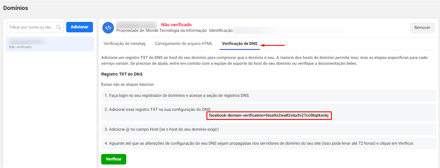 Com o domínio adicionado, copie o **"registro TXT"** que aparecerá no mesmo local indicado abaixo.