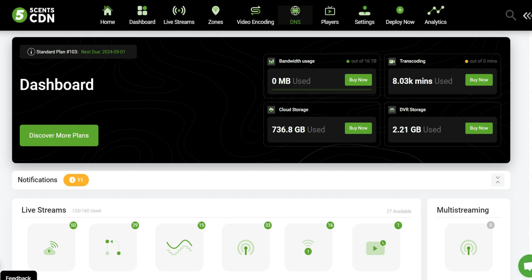 **Step 1 – Add the domain in the 5centsCDN control panel**
Click on "DNS"