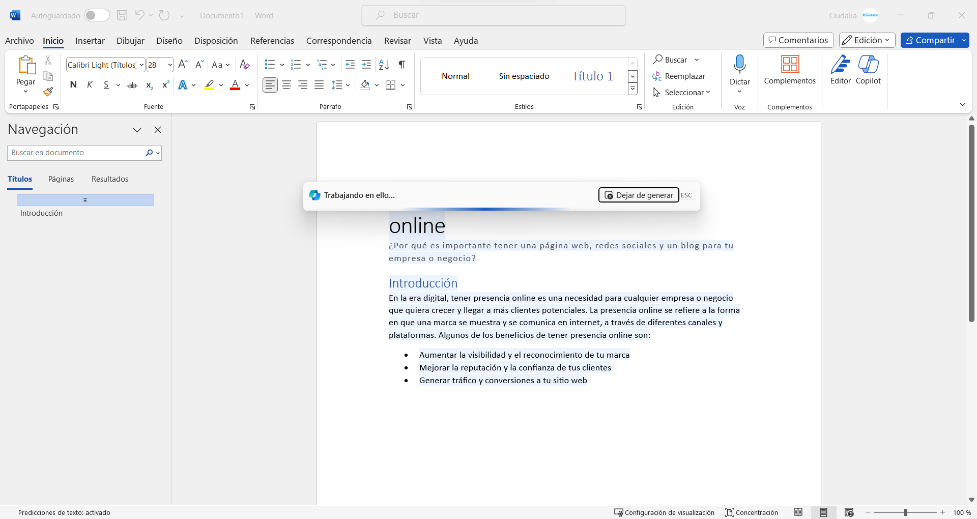 Se ira generando todo el texto en el documento.