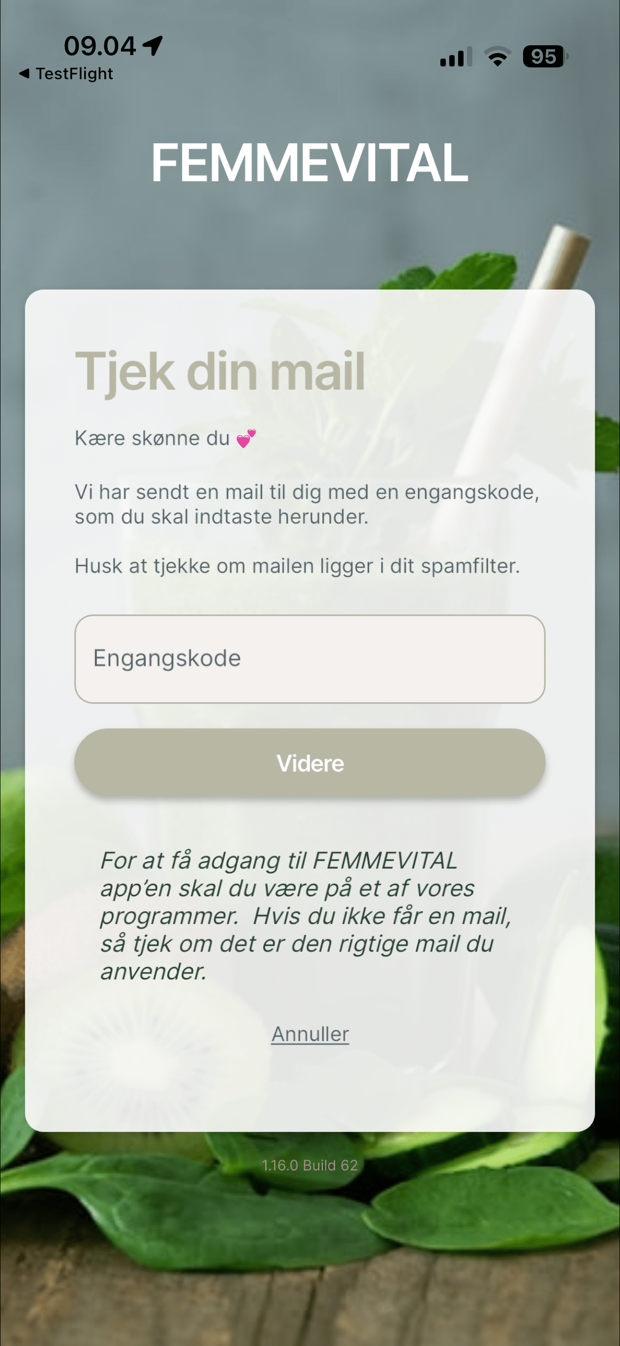 Når du ser "Tjek din mail", er det korrekt. 