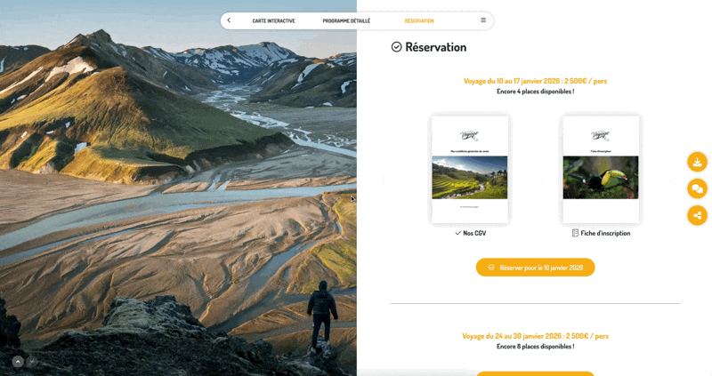 Widgets: Complete Guide to Types and Configurations